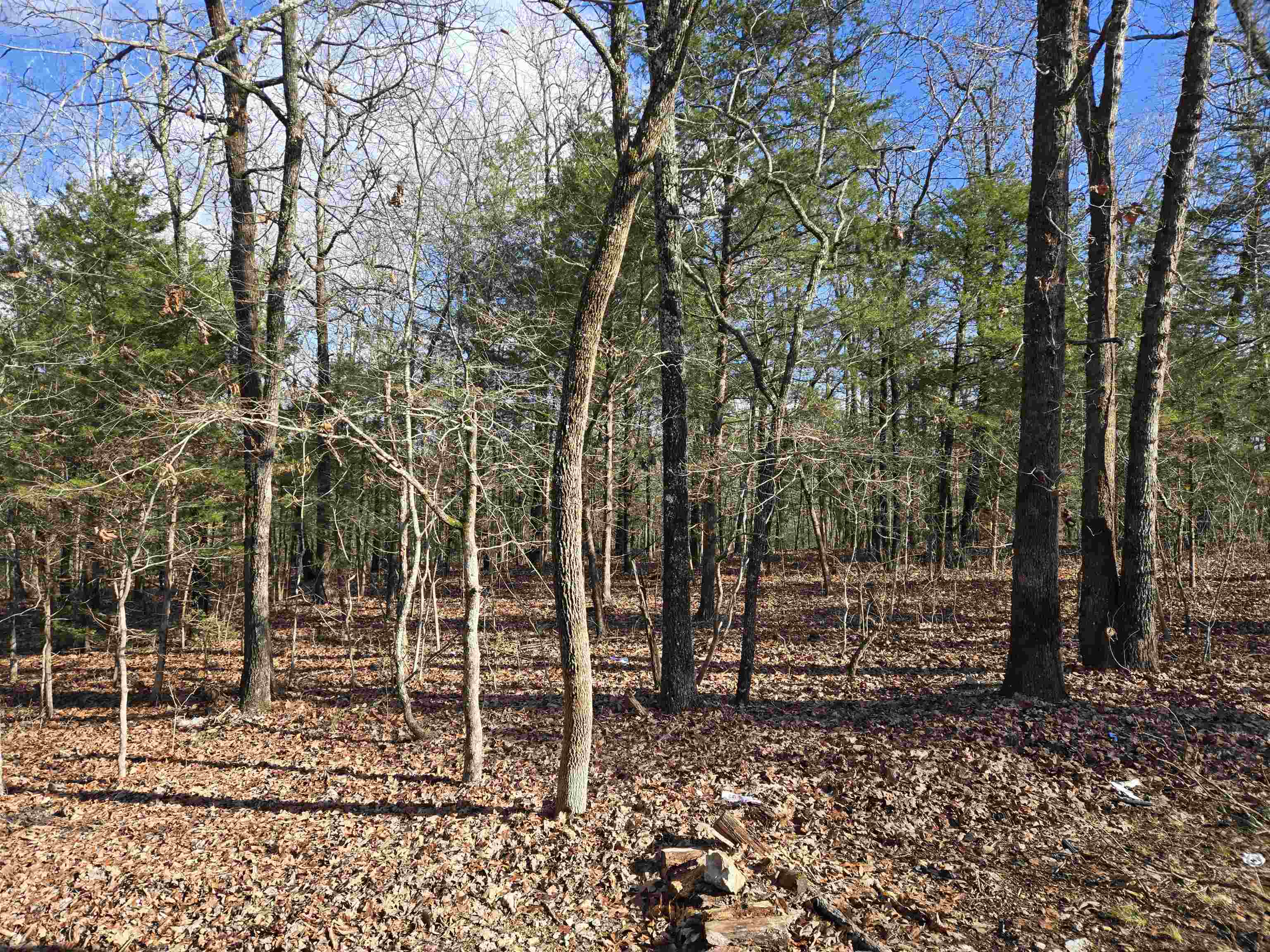 Photo 21 - Residential for sale – 7  Ozoo   Cherokee Village, AR