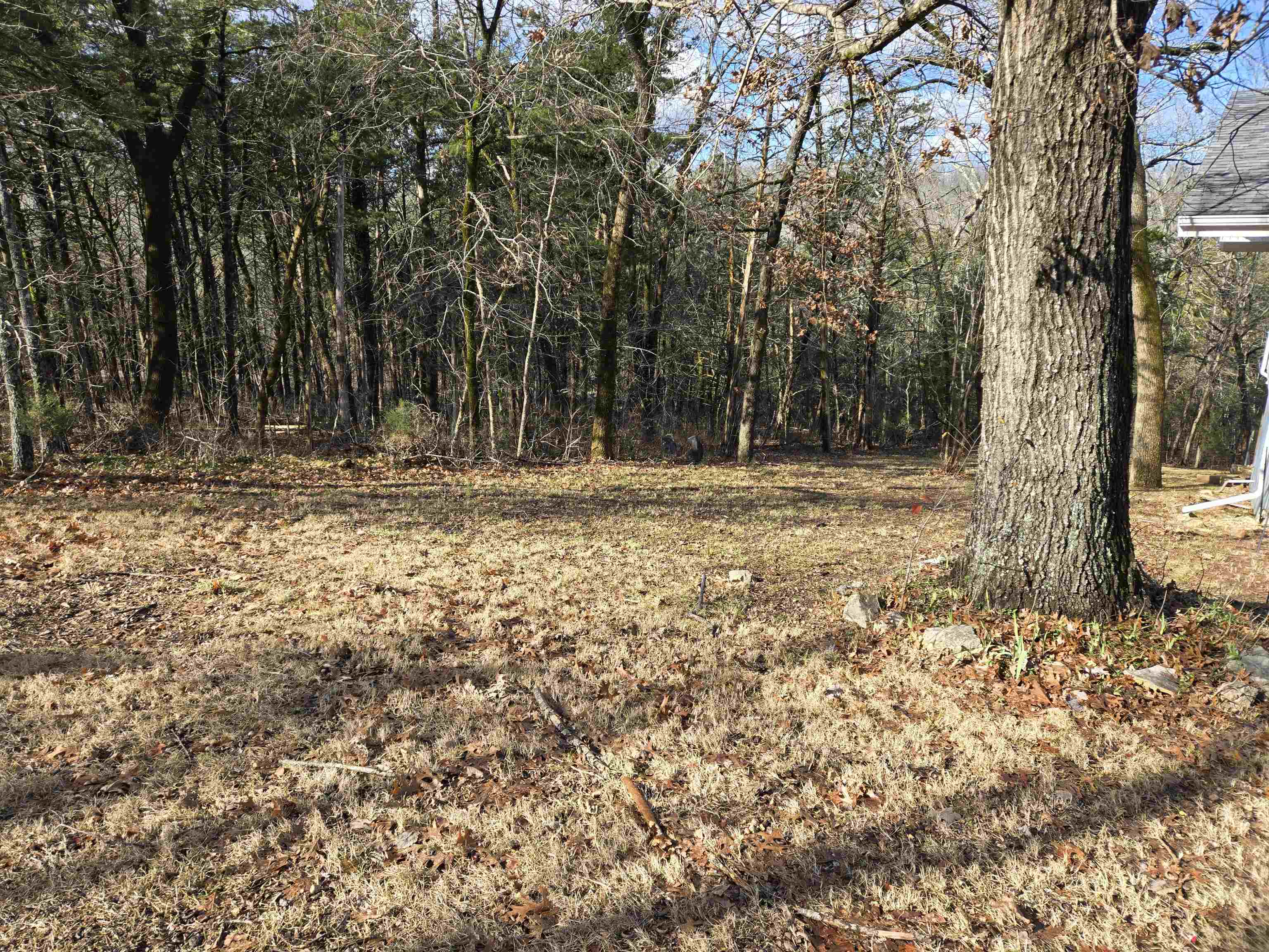 Photo 24 - Residential for sale – 7  Ozoo   Cherokee Village, AR