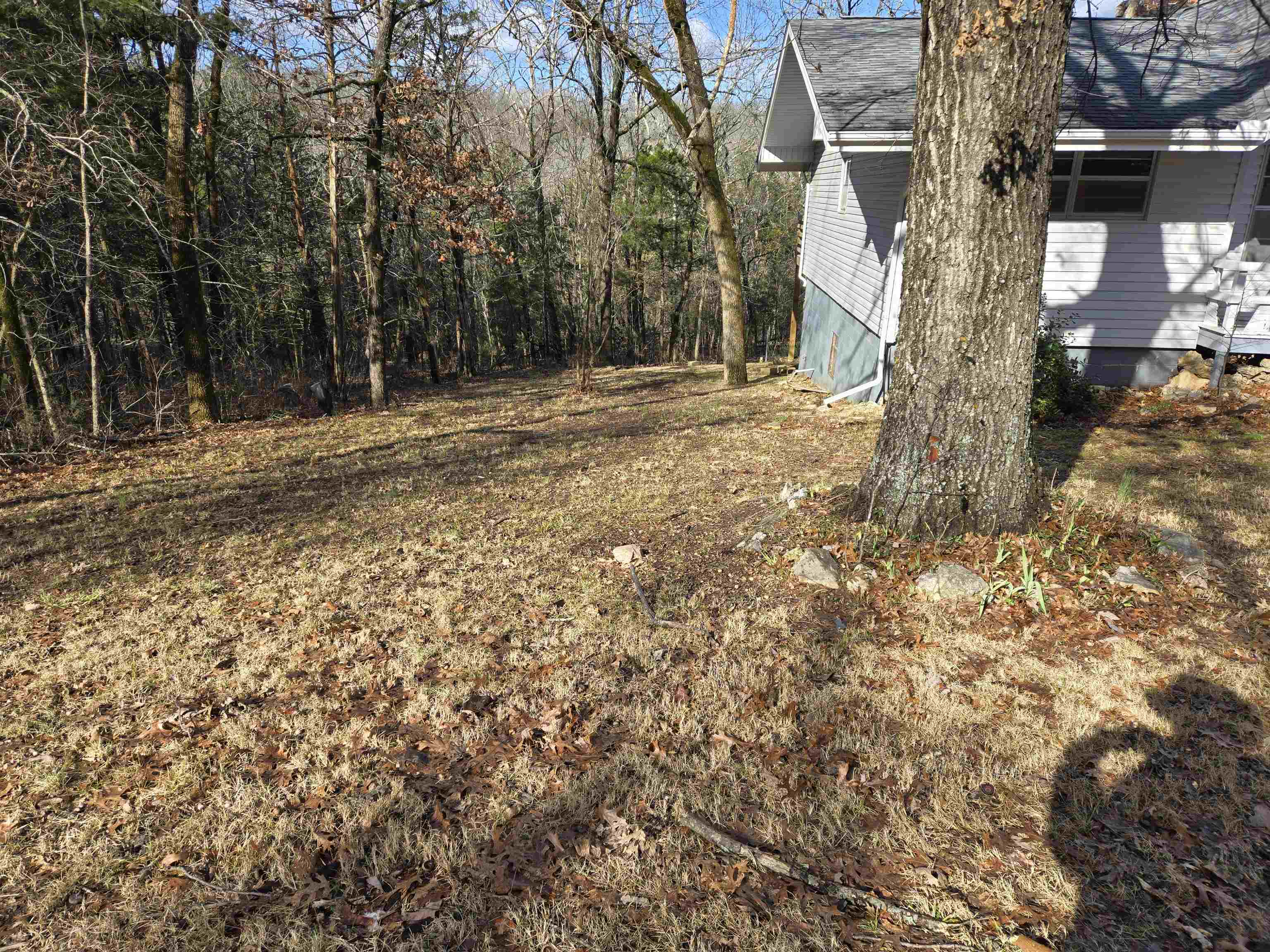 Photo 25 - Residential for sale – 7  Ozoo   Cherokee Village, AR