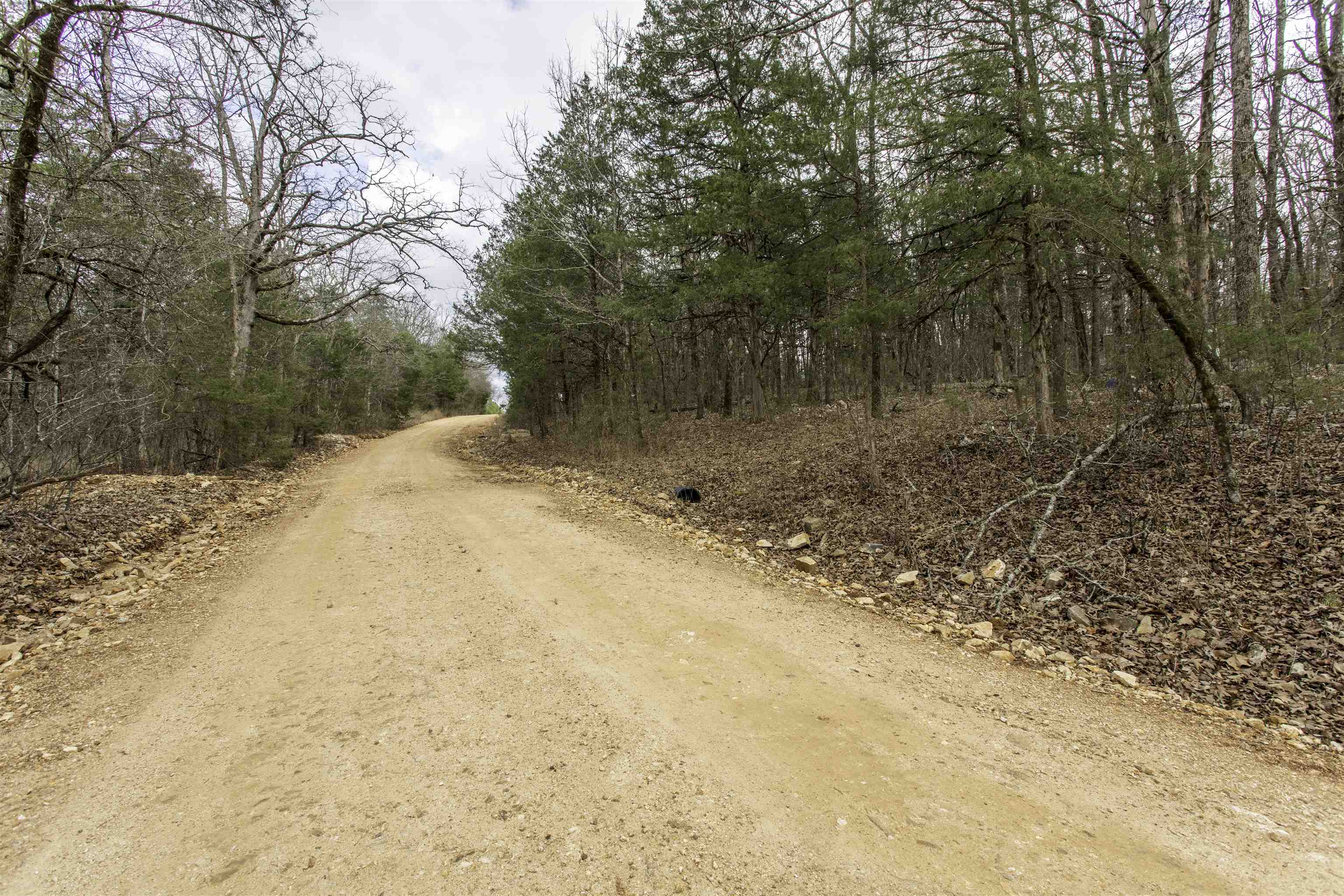 Photo 3 - Vacant Land for sale – 000  Onaga   Hardy, AR