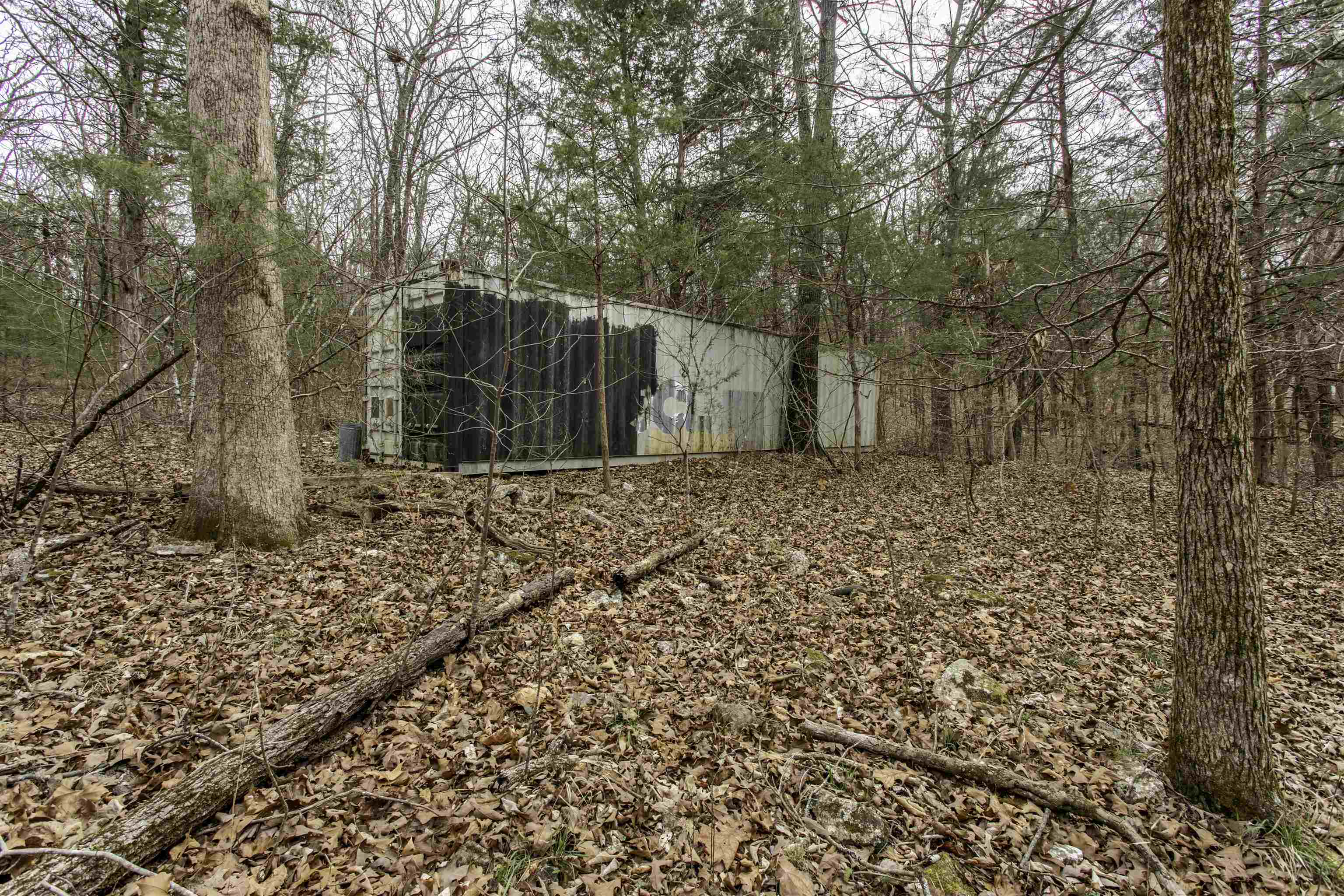 Photo 4 - Vacant Land for sale – 000  Onaga   Hardy, AR