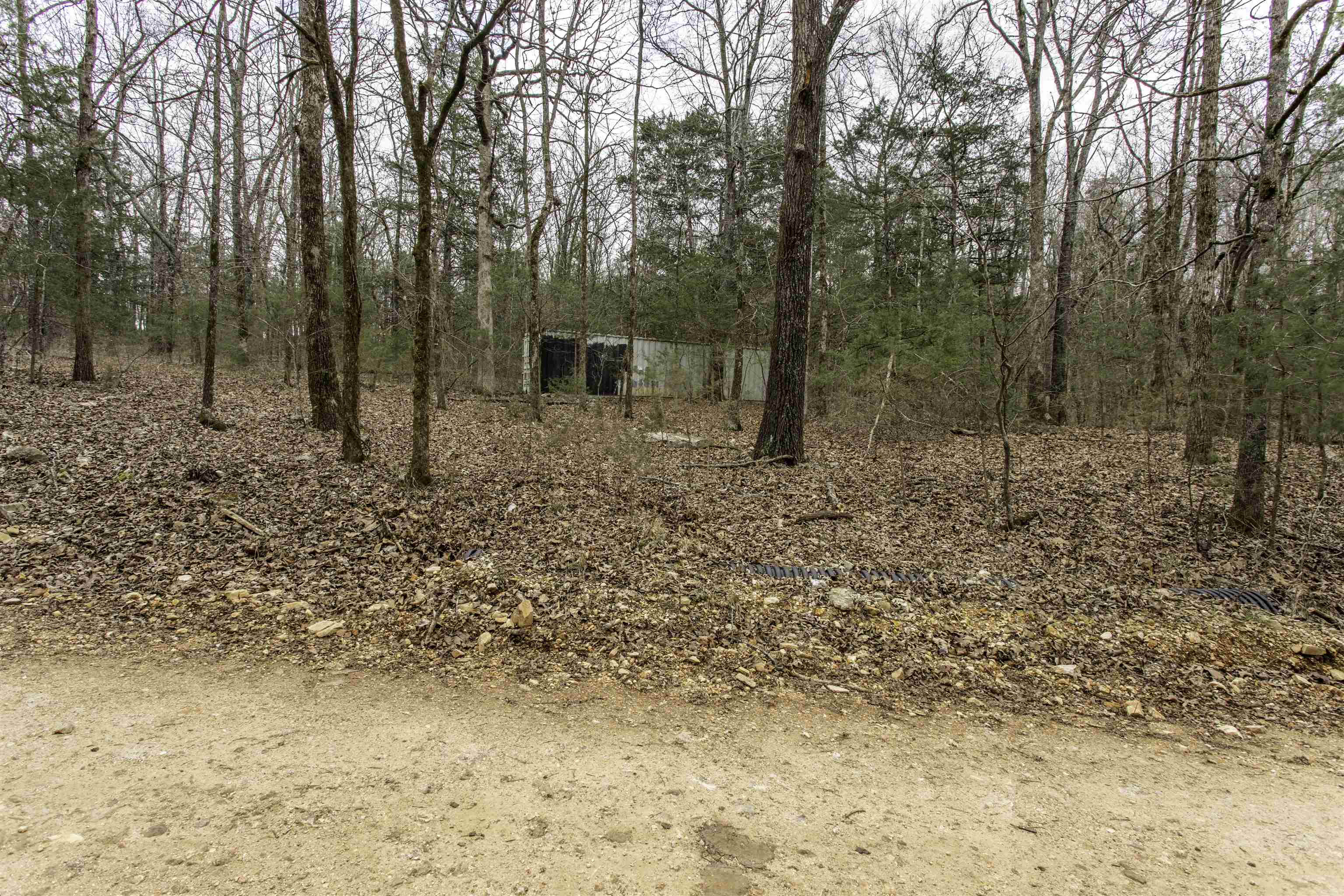 Photo 7 - Vacant Land for sale – 000  Onaga   Hardy, AR