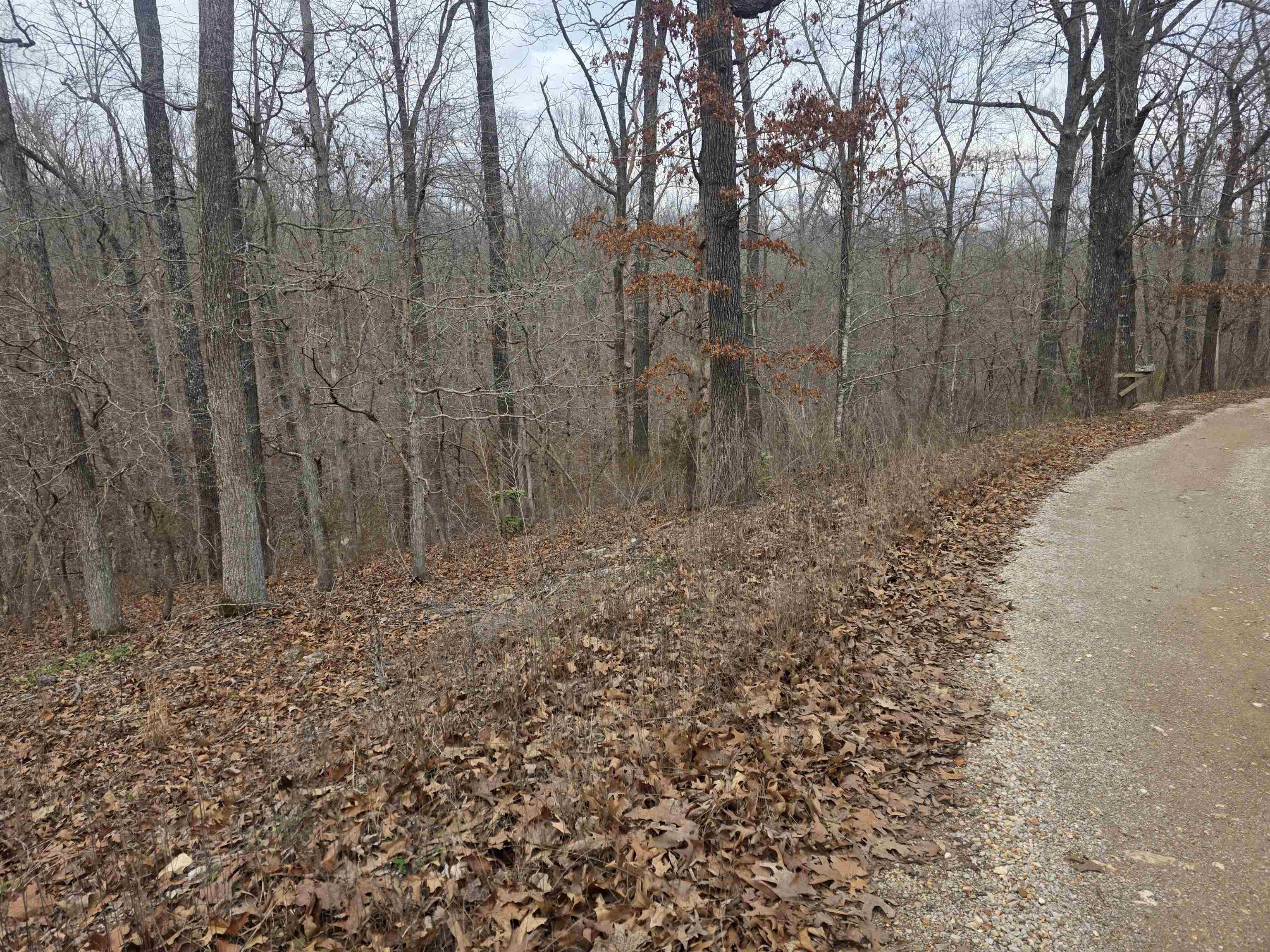 Photo 2 - Vacant Land for sale – 6 Lots  S Summit Ridge   Ozark Acres, AR