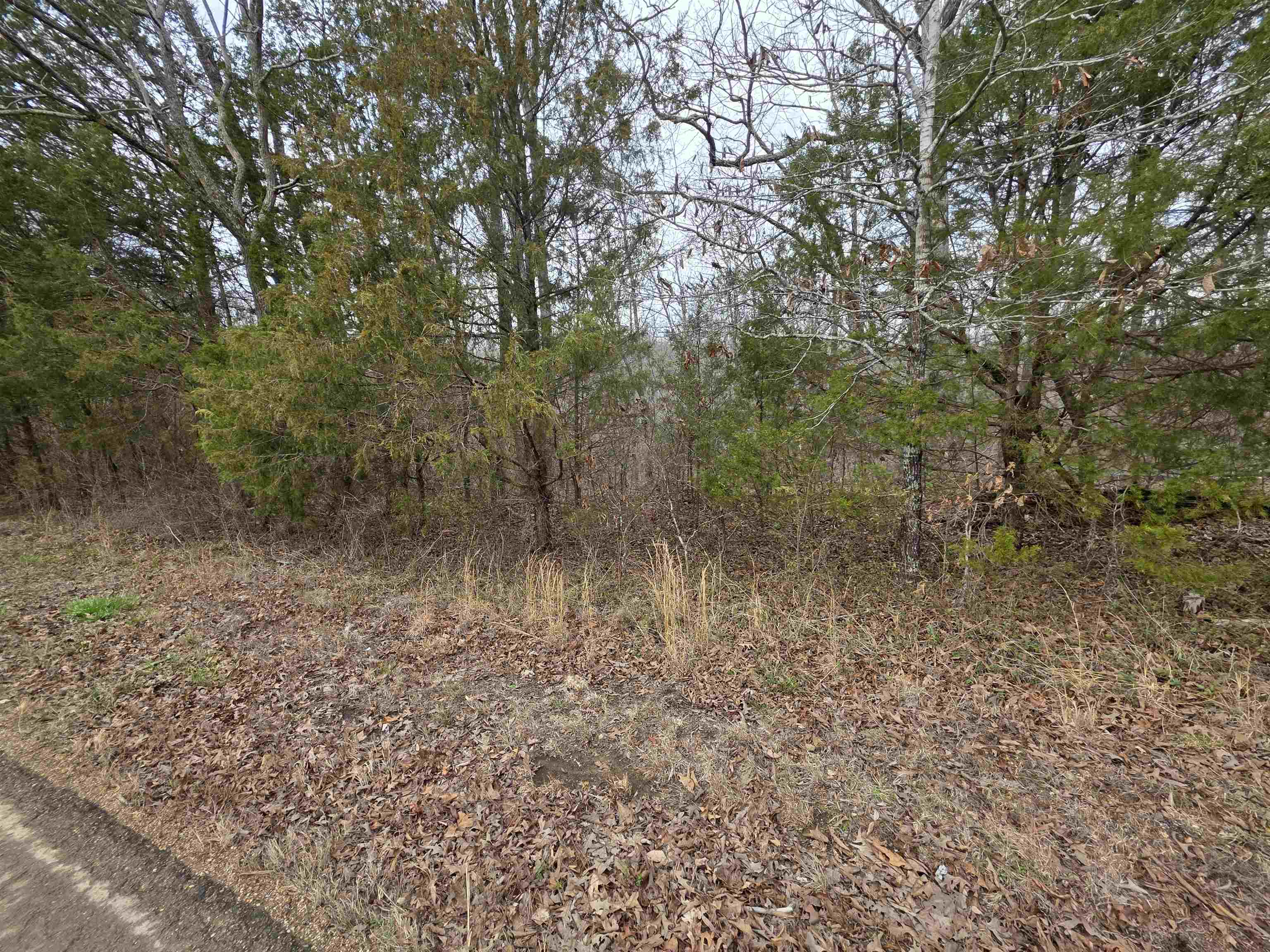 Photo 19 - Vacant Land for sale – 6 Lots  S Summit Ridge   Ozark Acres, AR