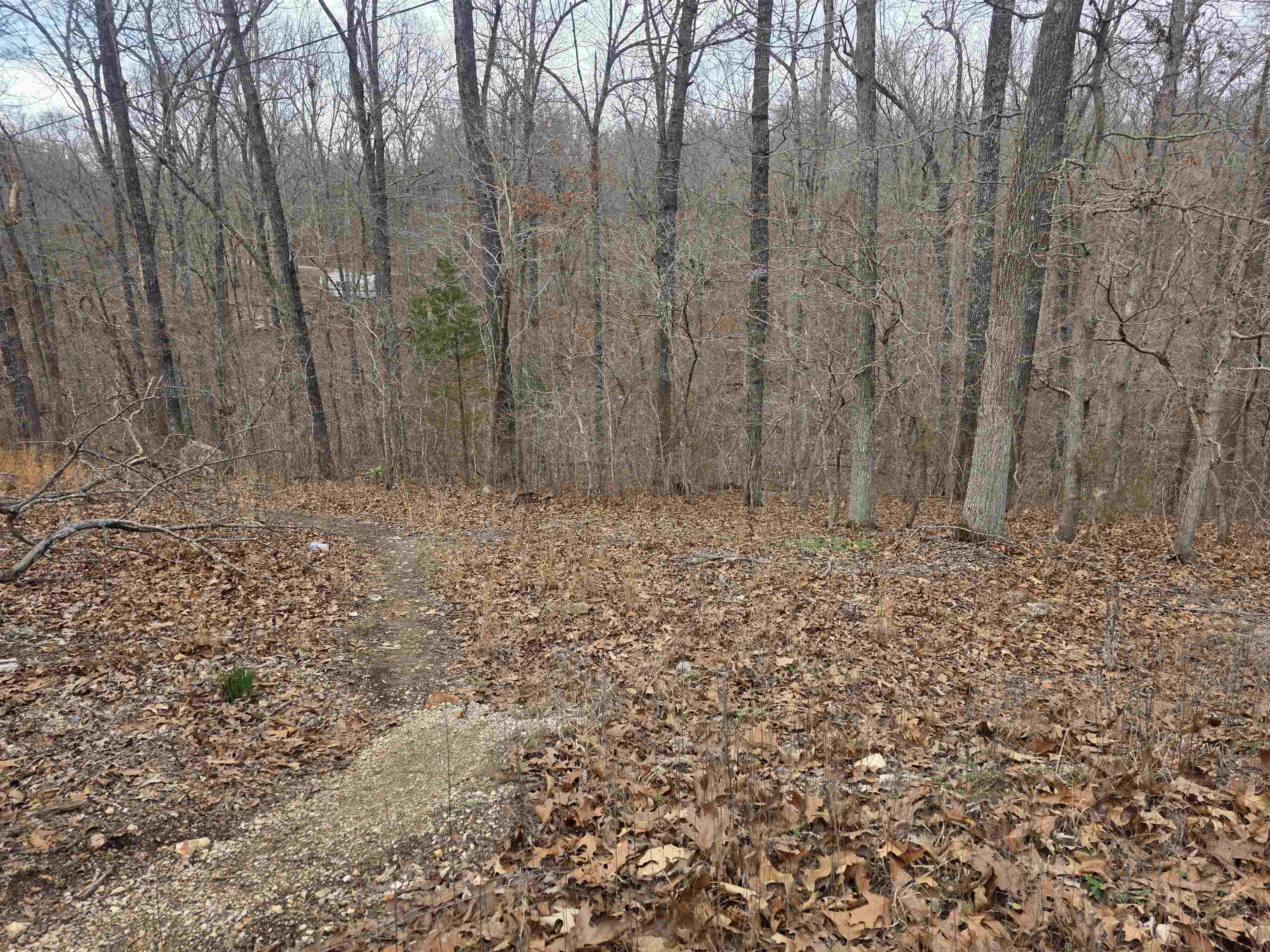 Photo 3 - Vacant Land for sale – 6 Lots  S Summit Ridge   Ozark Acres, AR