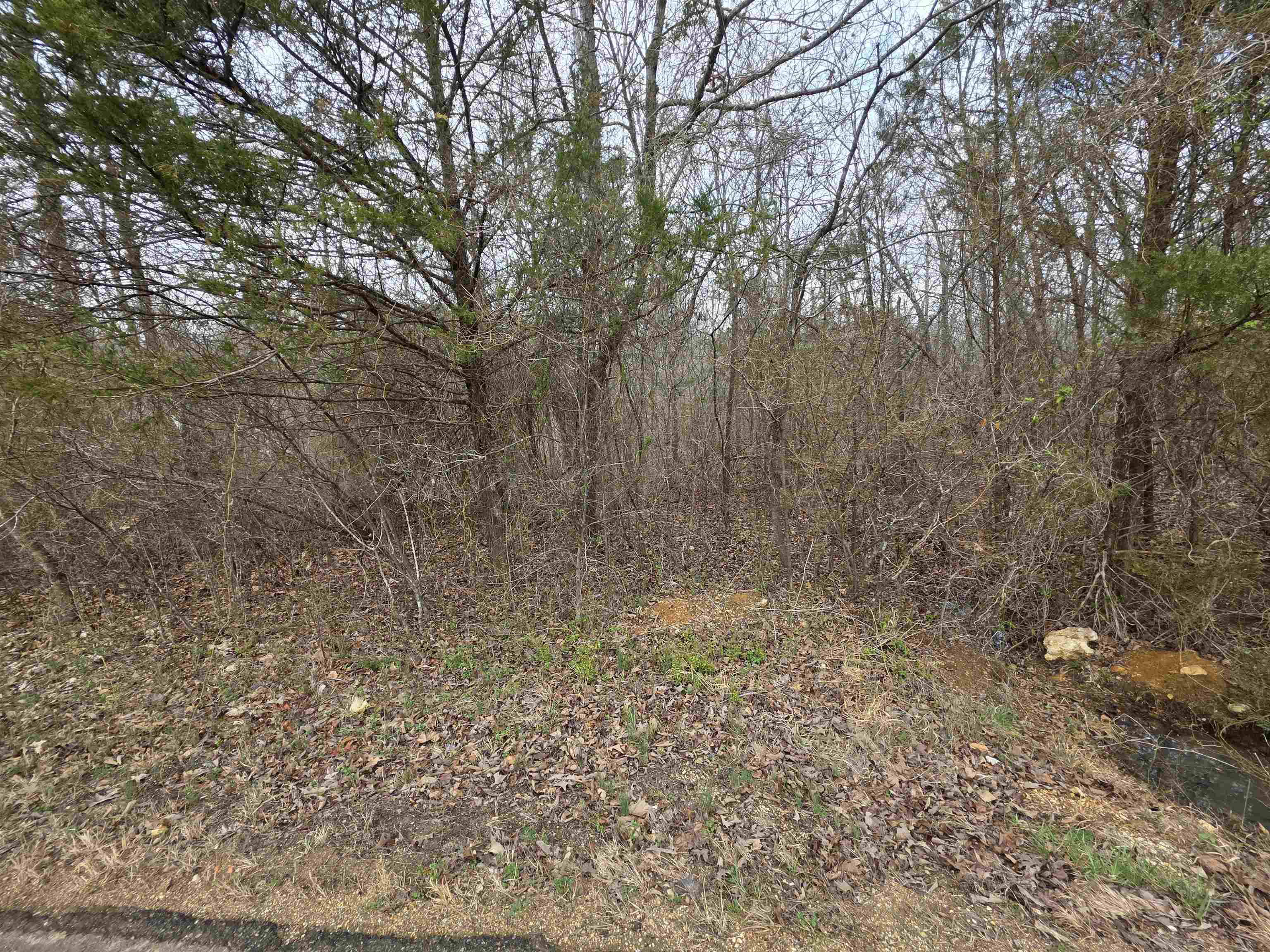 Photo 21 - Vacant Land for sale – 6 Lots  S Summit Ridge   Ozark Acres, AR