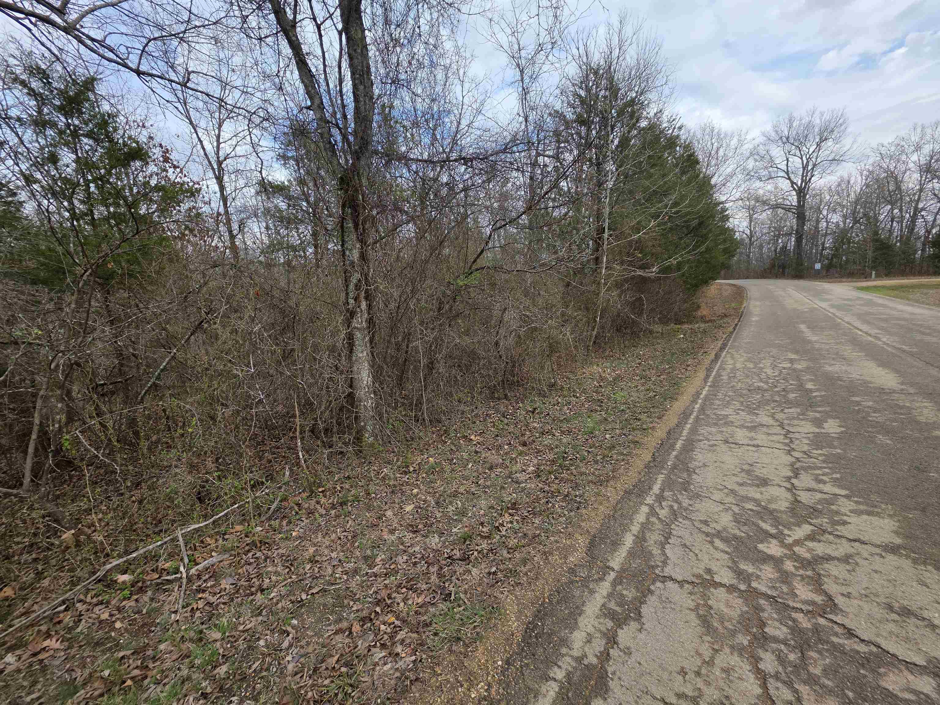 Photo 25 - Vacant Land for sale – 6 Lots  S Summit Ridge   Ozark Acres, AR