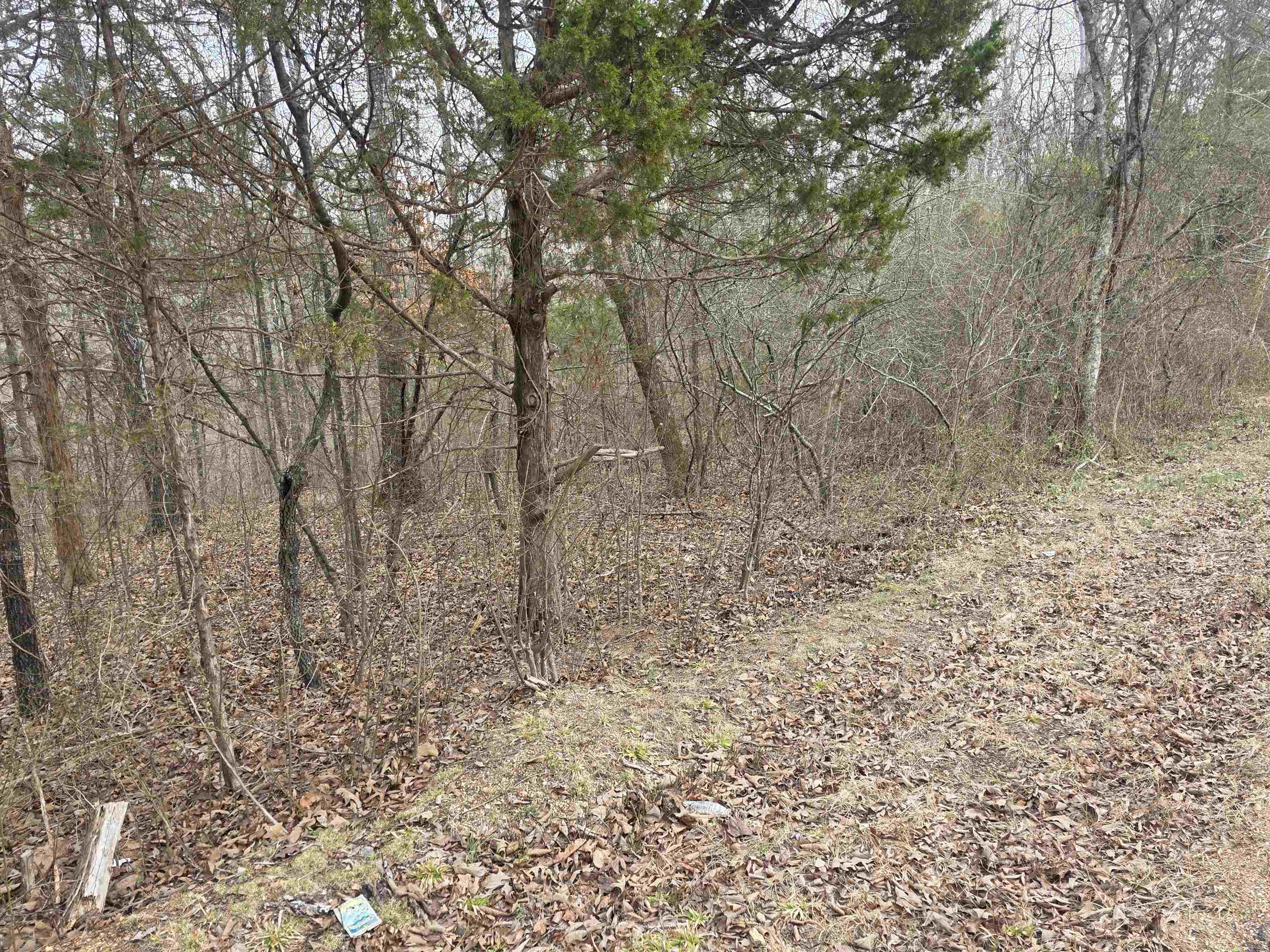 Photo 28 - Vacant Land for sale – 6 Lots  S Summit Ridge   Ozark Acres, AR
