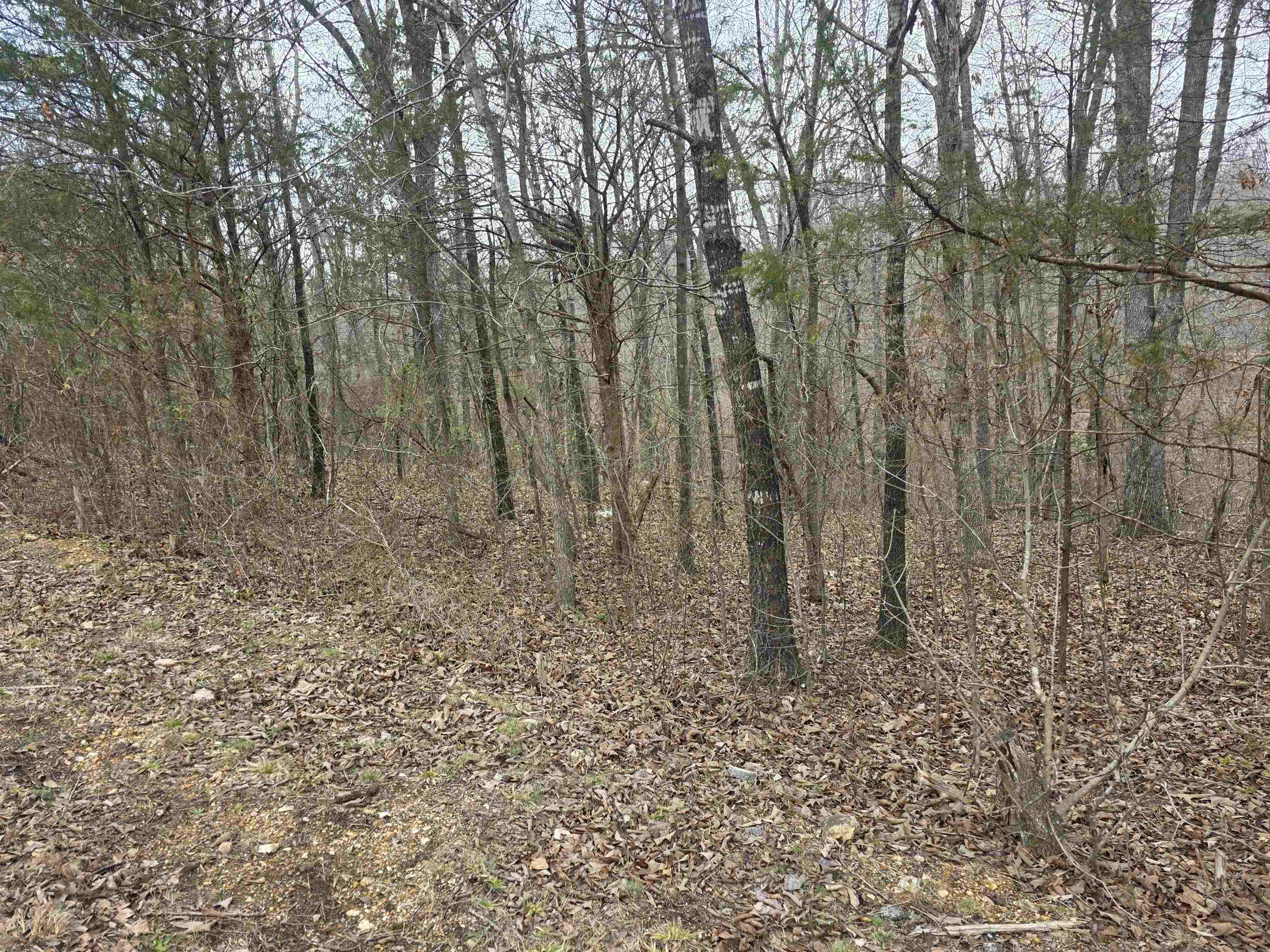 Photo 30 - Vacant Land for sale – 6 Lots  S Summit Ridge   Ozark Acres, AR