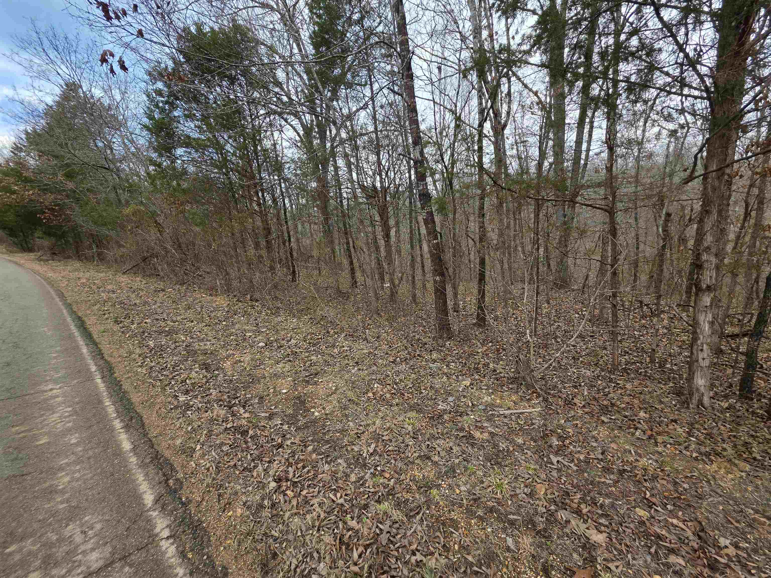 Photo 31 - Vacant Land for sale – 6 Lots  S Summit Ridge   Ozark Acres, AR