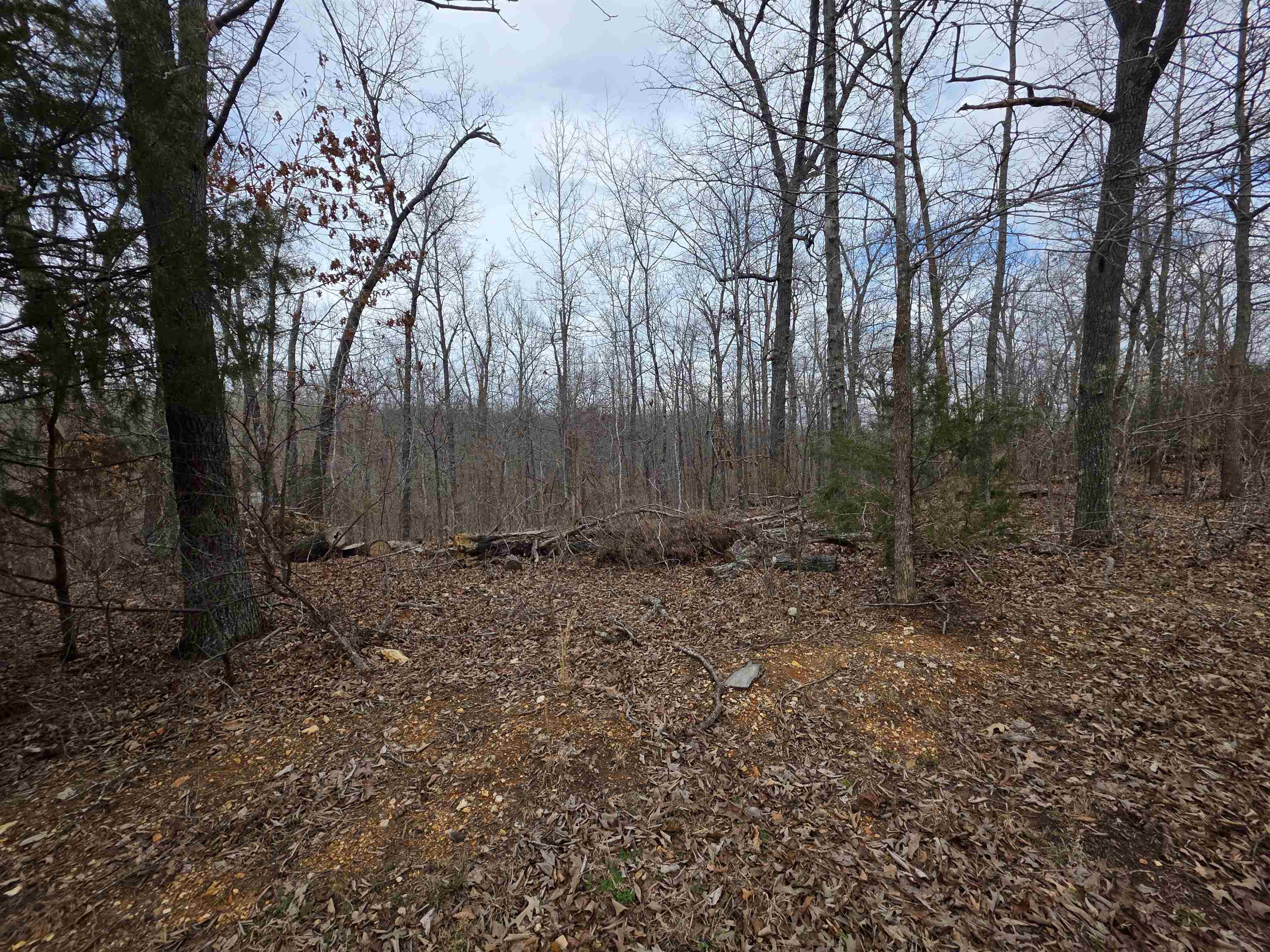 Photo 33 - Vacant Land for sale – 6 Lots  S Summit Ridge   Ozark Acres, AR