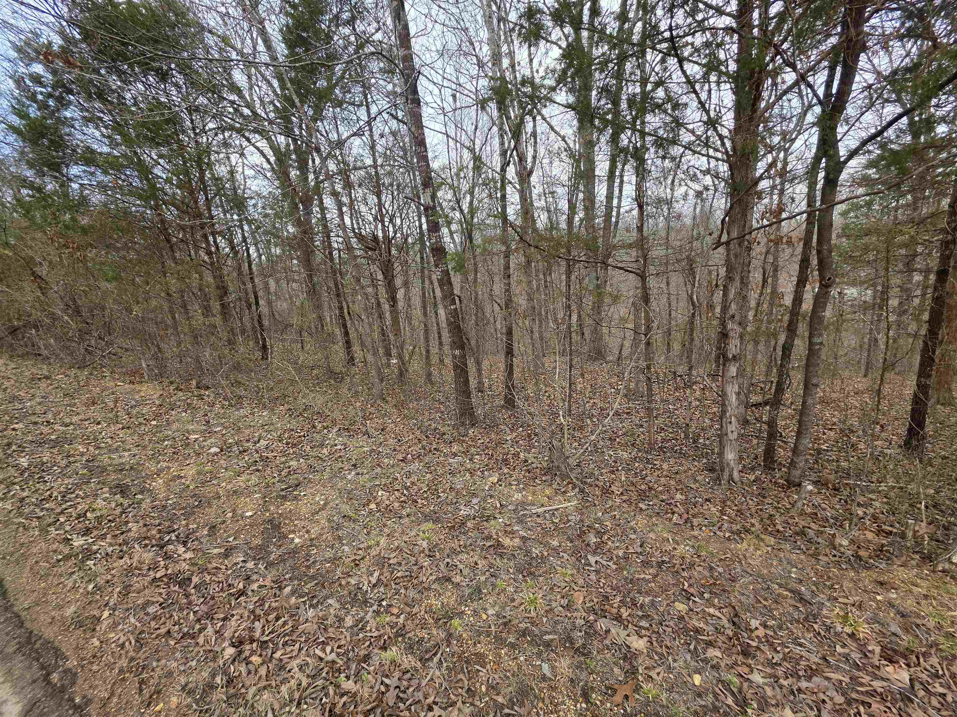 Photo 4 - Vacant Land for sale – L14 B3  S Summit Ridge   Ozark Acres, AR