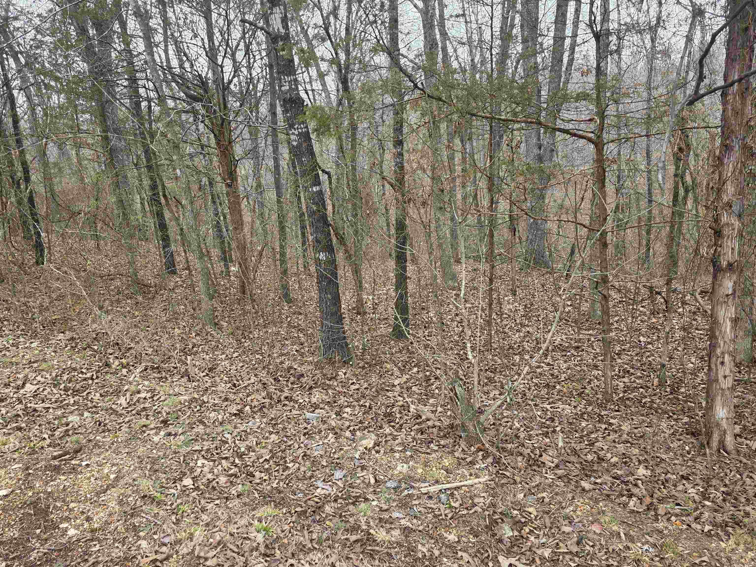 Photo 6 - Vacant Land for sale – L14 B3  S Summit Ridge   Ozark Acres, AR