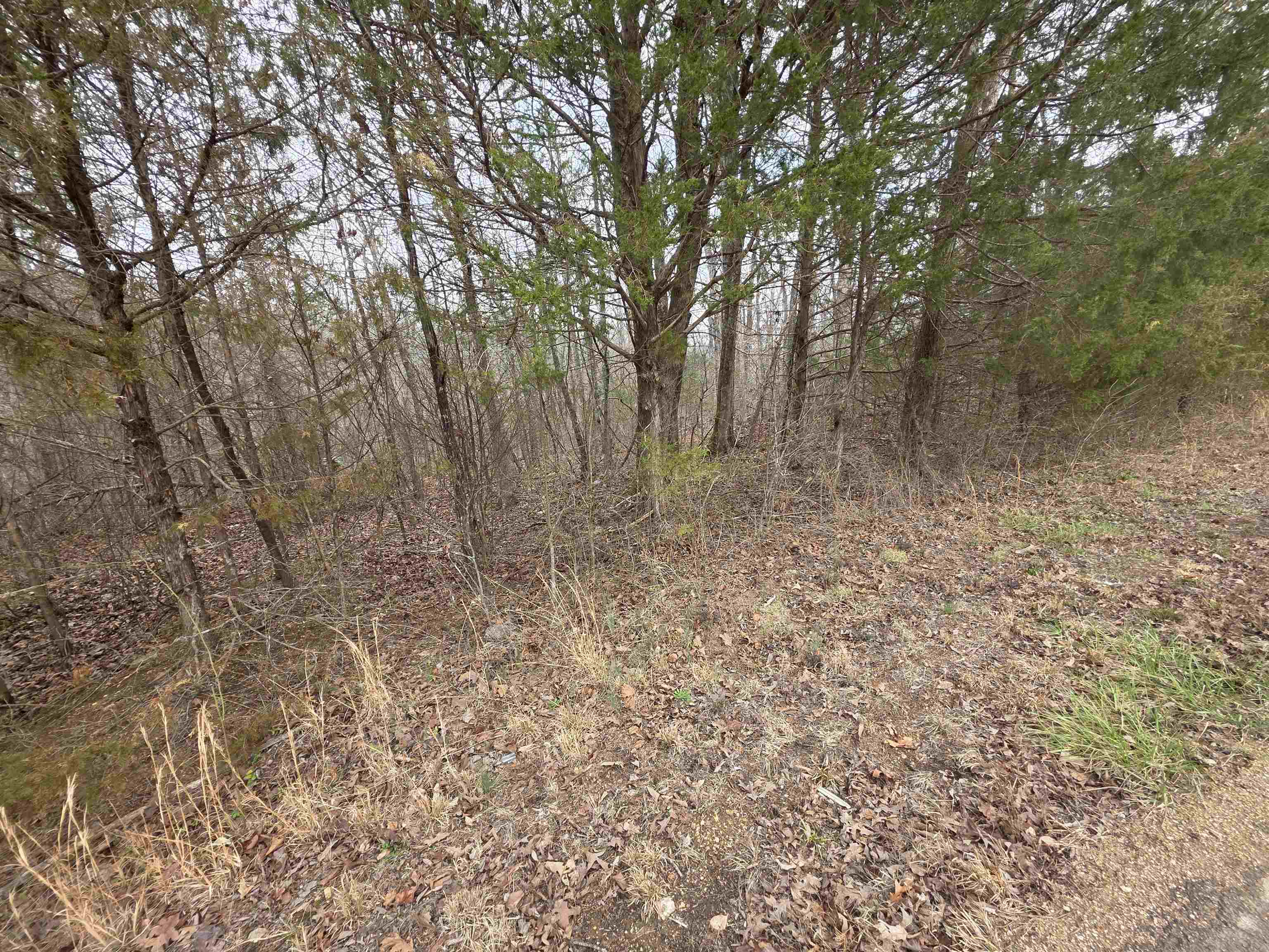 Photo 9 - Vacant Land for sale – L14 B3  S Summit Ridge   Ozark Acres, AR