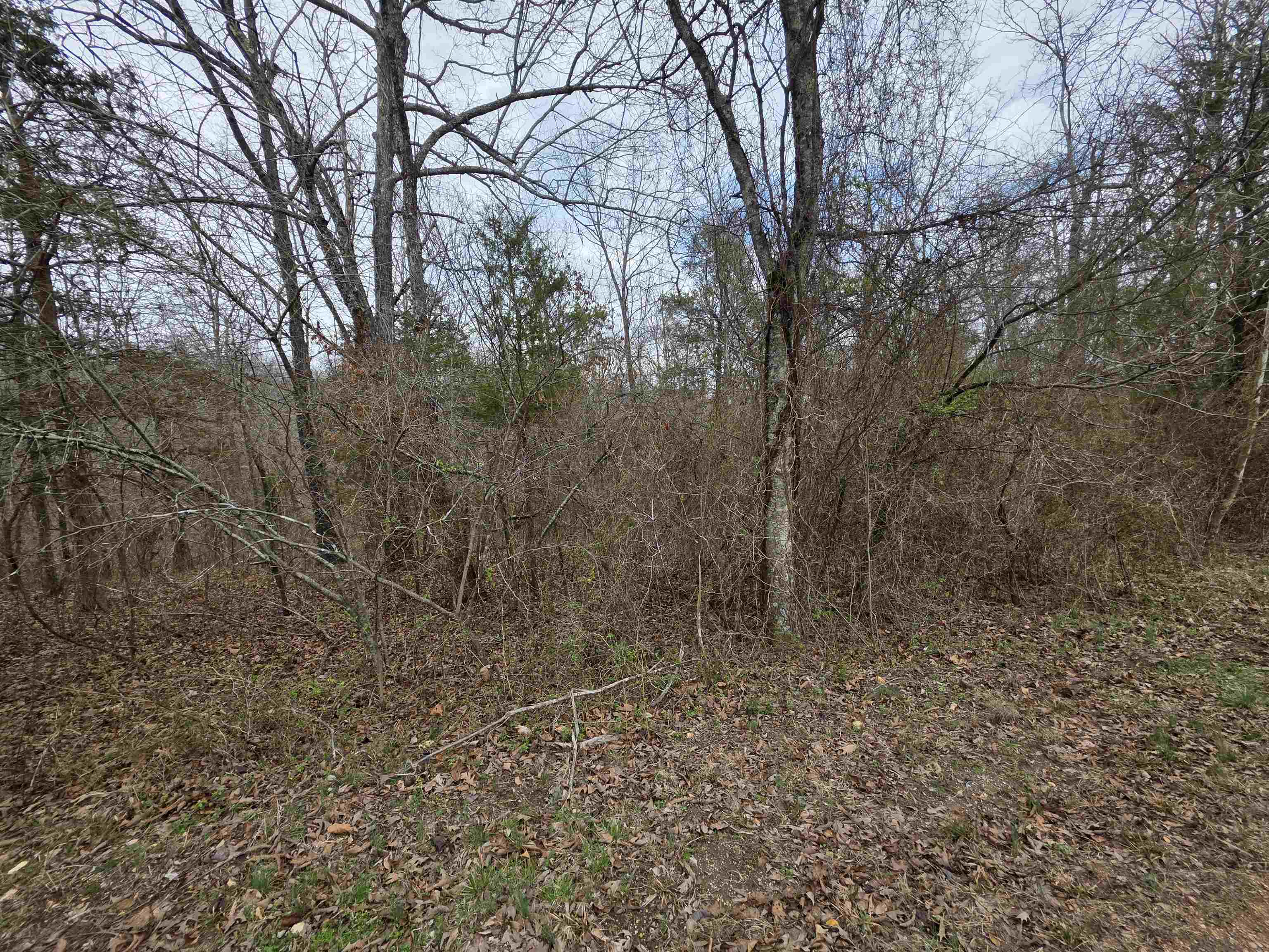 Photo 6 - Vacant Land for sale – L15 B3  S Summit Ridge   Ozark Acres, AR