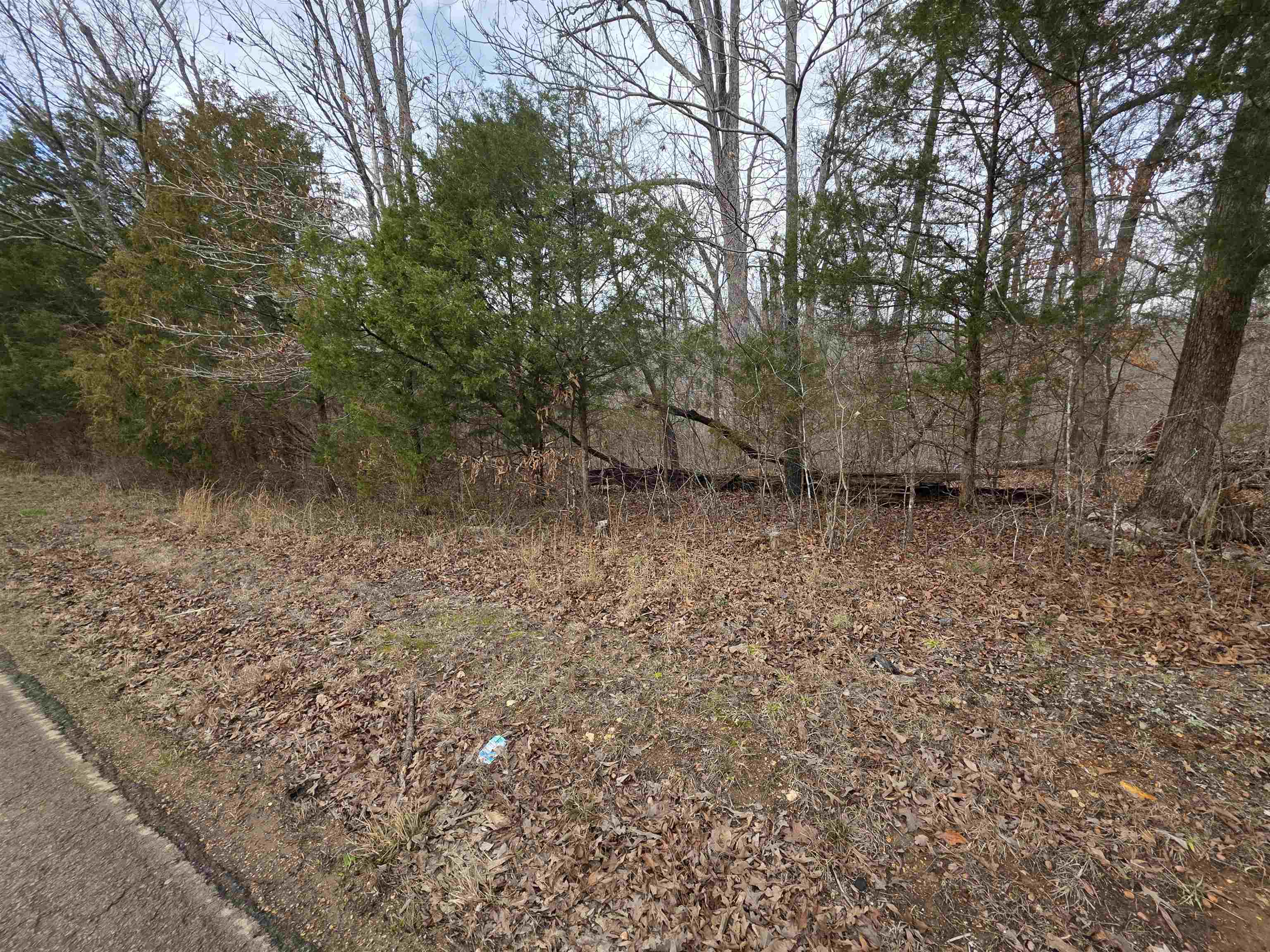 Photo 2 - Vacant Land for sale – L16 B3  S Summit Ridge   Ozark Acres, AR