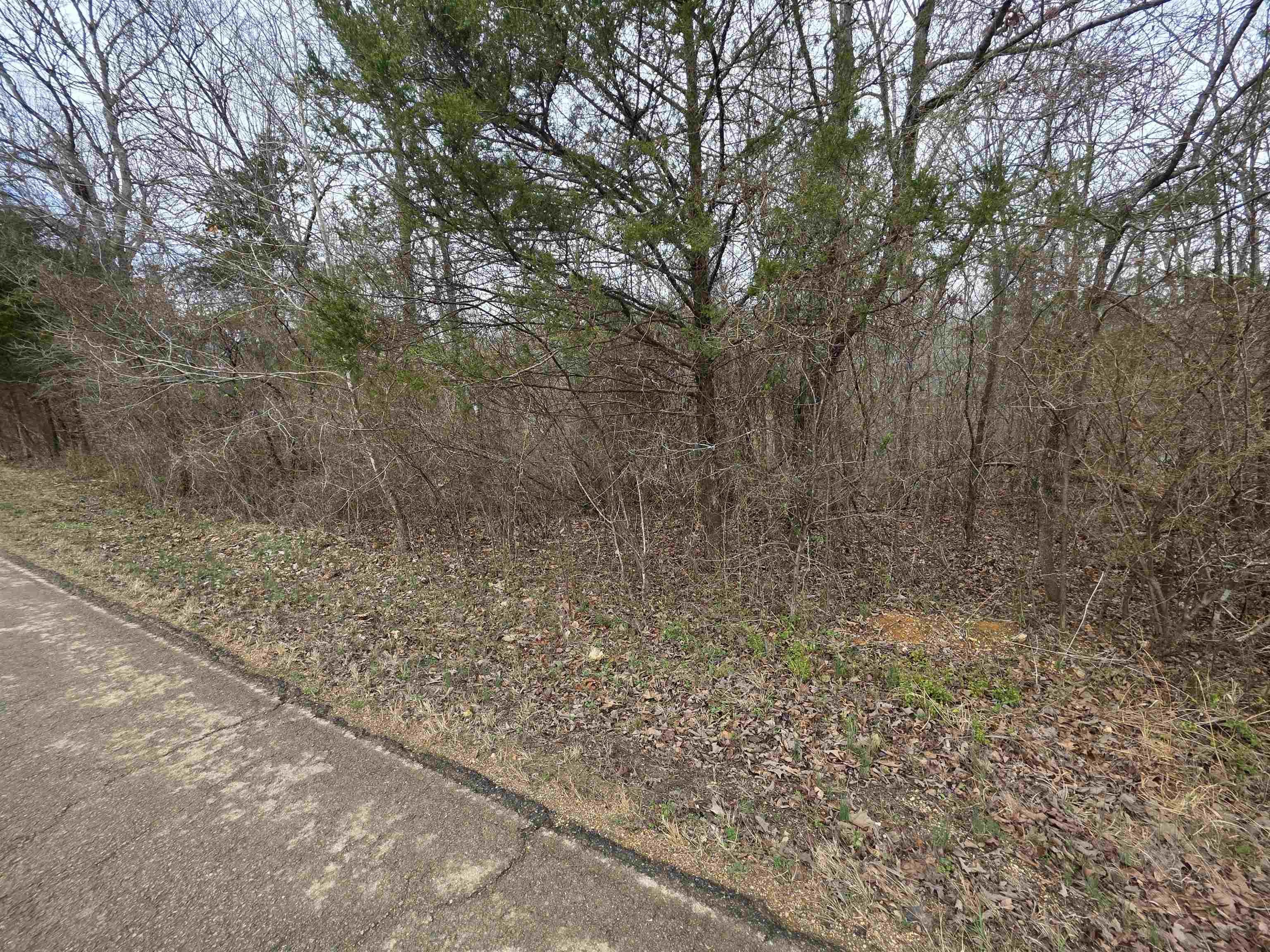 Photo 6 - Vacant Land for sale – L16 B3  S Summit Ridge   Ozark Acres, AR