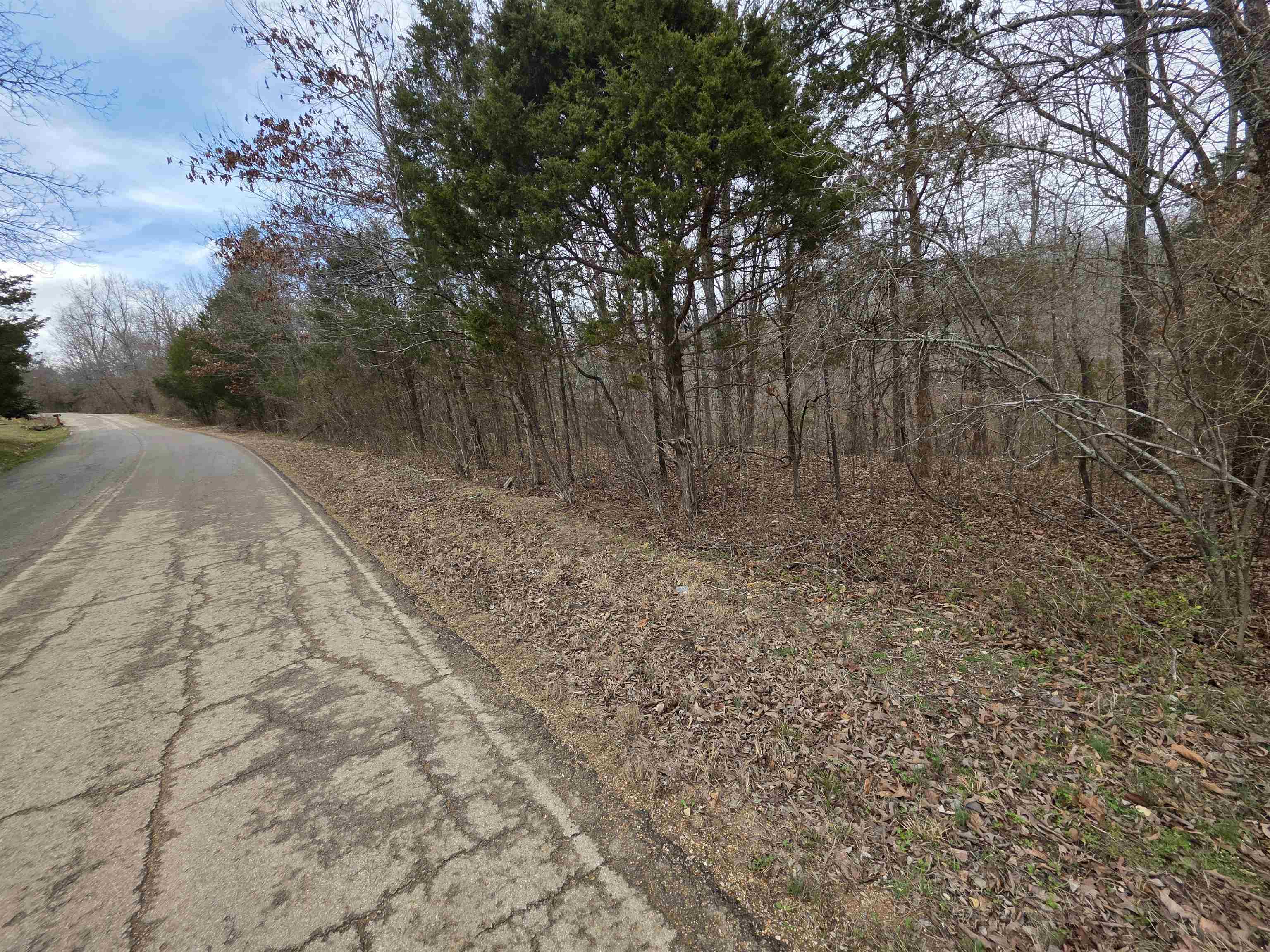 Photo 7 - Vacant Land for sale – L16 B3  S Summit Ridge   Ozark Acres, AR