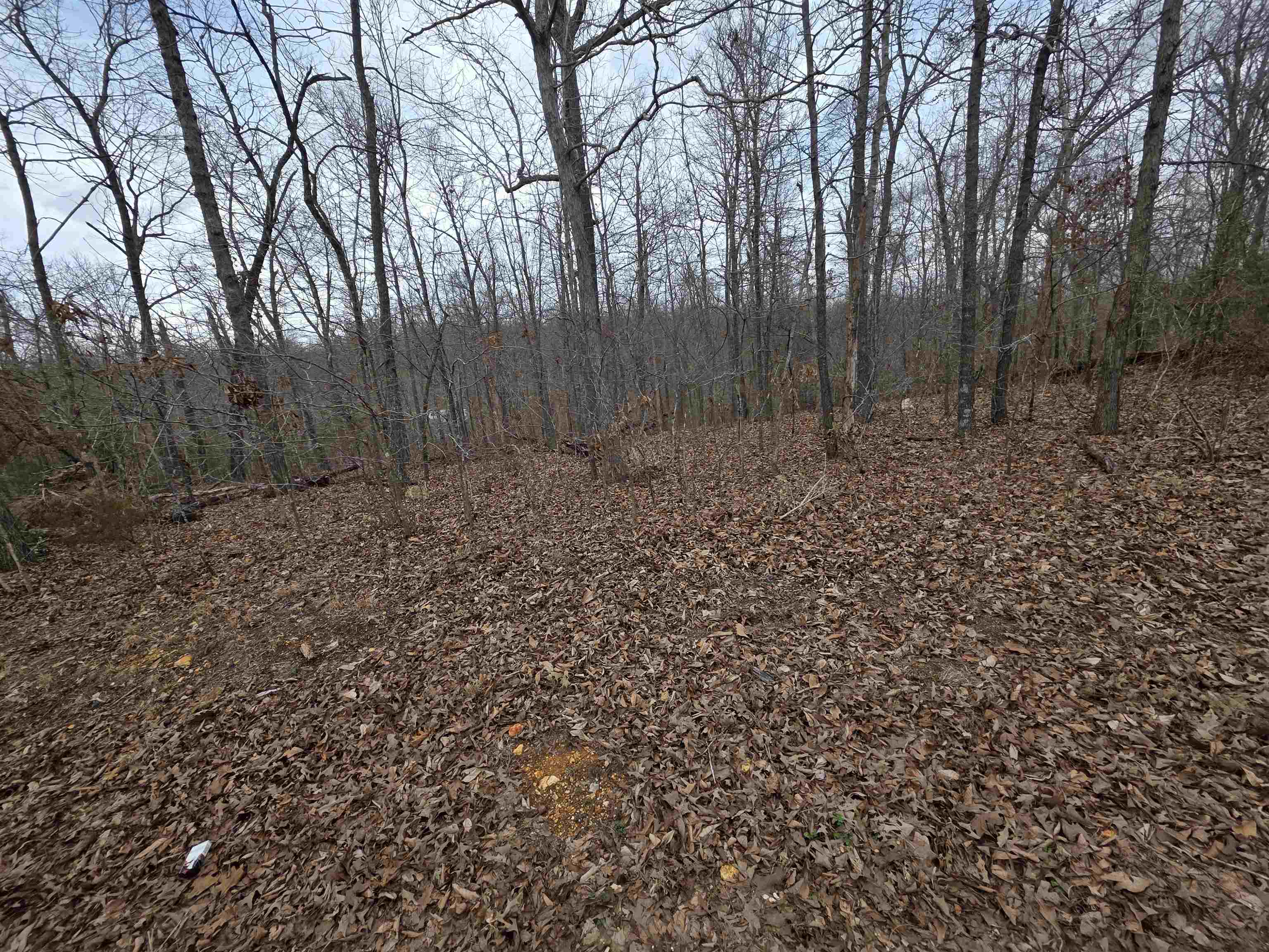 Photo 3 - Vacant Land for sale – L17 B3  S Summit Ridge   Ozark Acres, AR