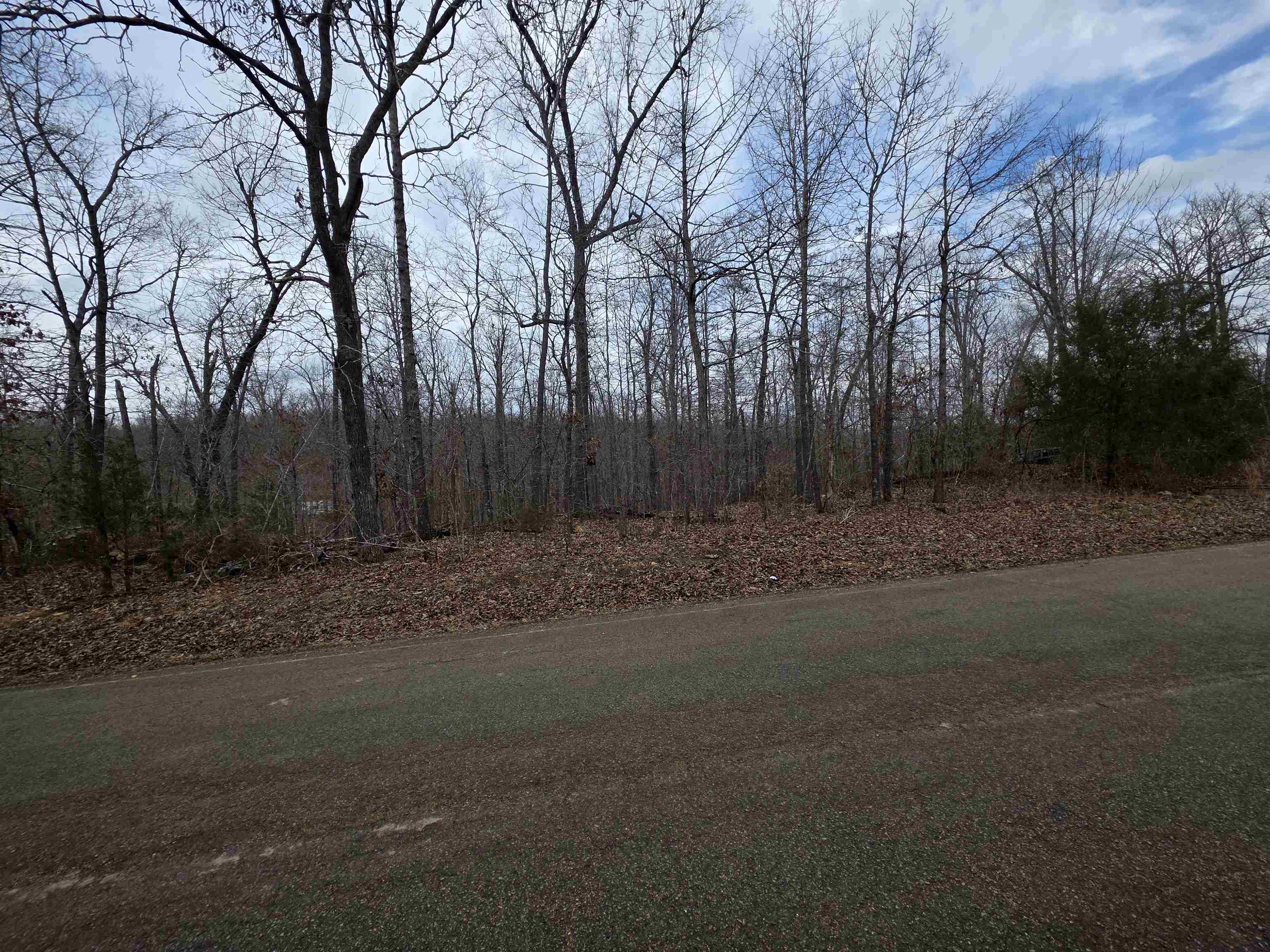 Photo 4 - Vacant Land for sale – L17 B3  S Summit Ridge   Ozark Acres, AR