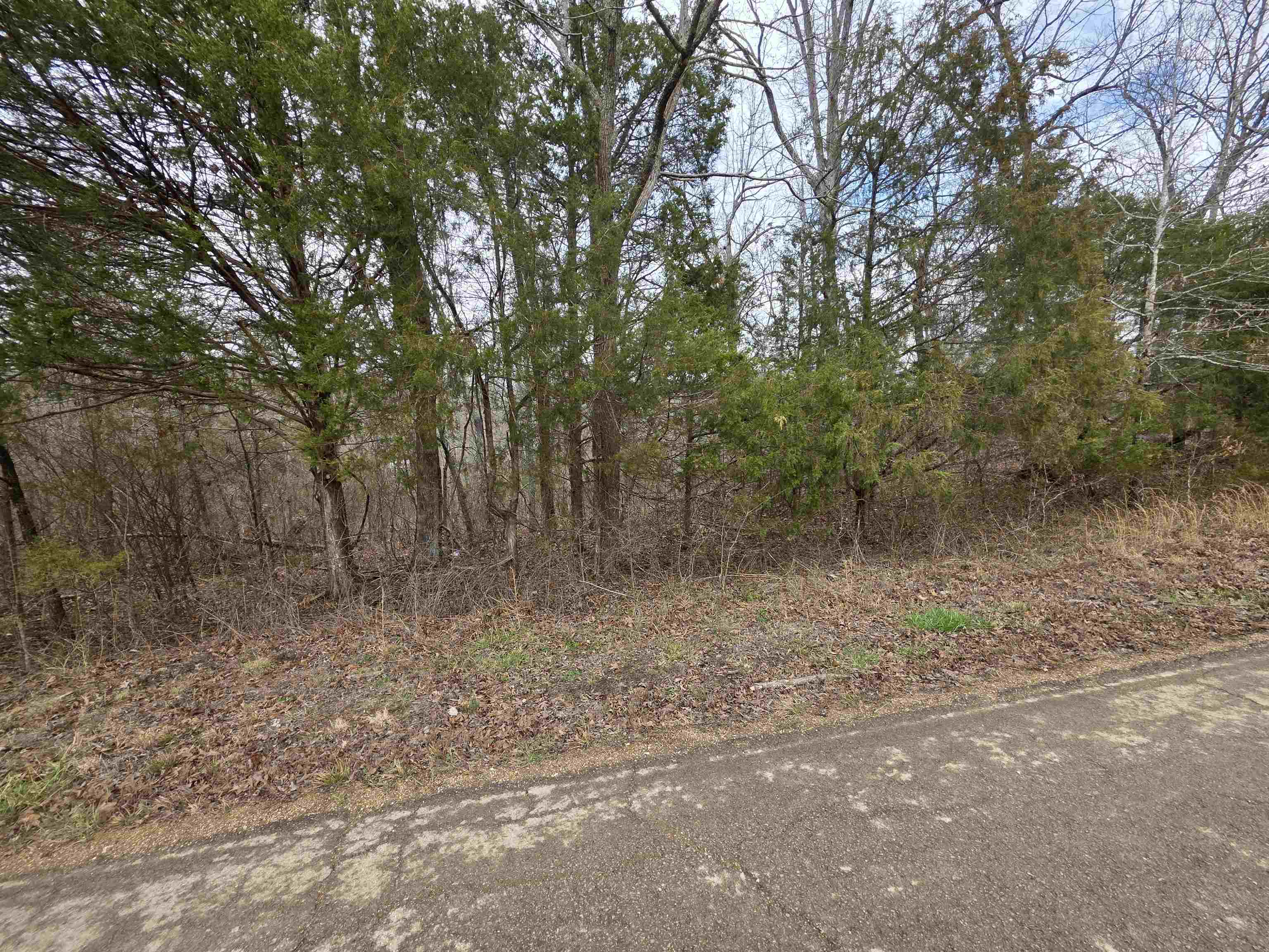 Photo 8 - Vacant Land for sale – L17 B3  S Summit Ridge   Ozark Acres, AR