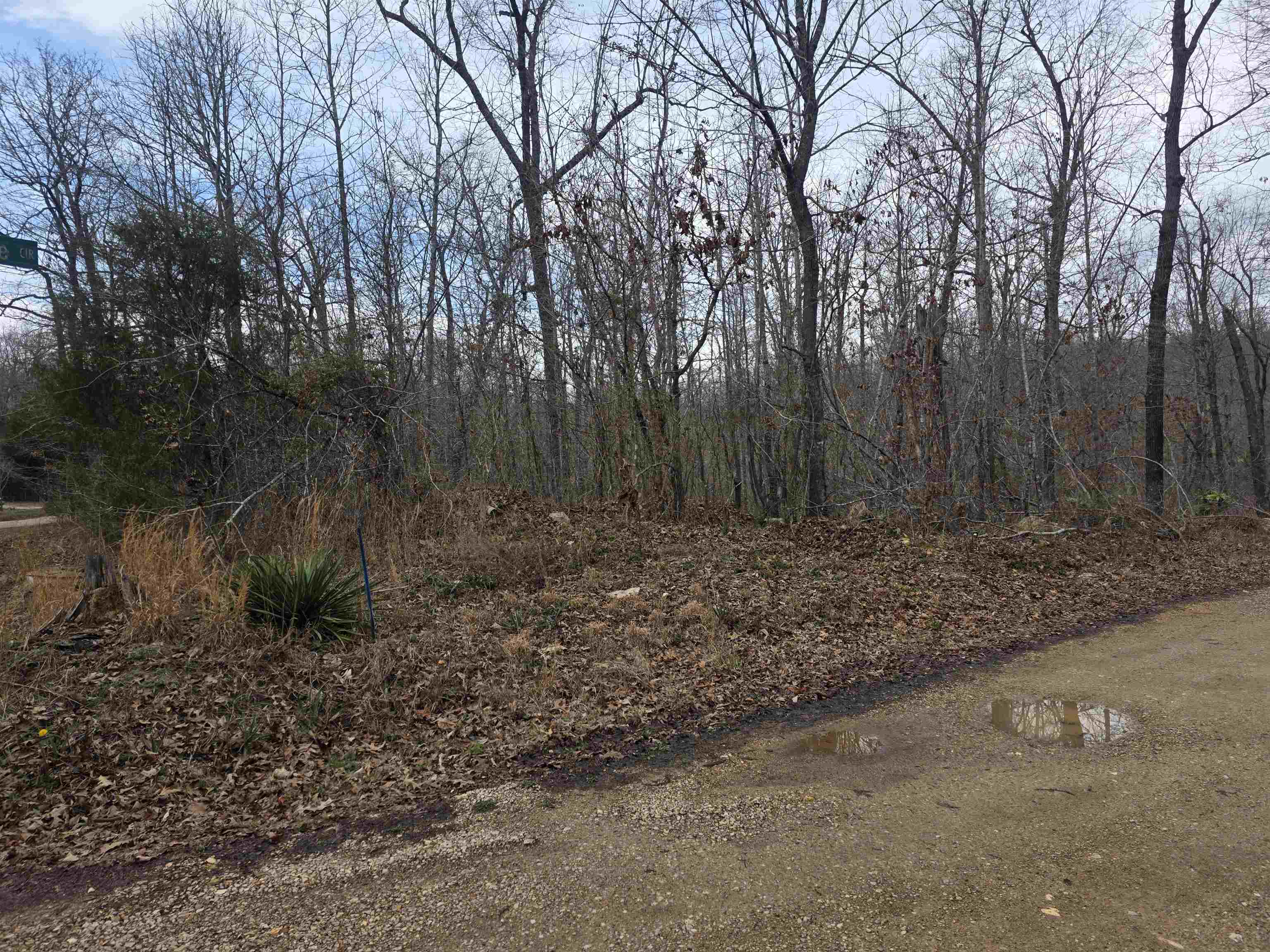 Photo 3 - Vacant Land for sale – L18 B3  S Summit Ridge   Ozark Acres, AR