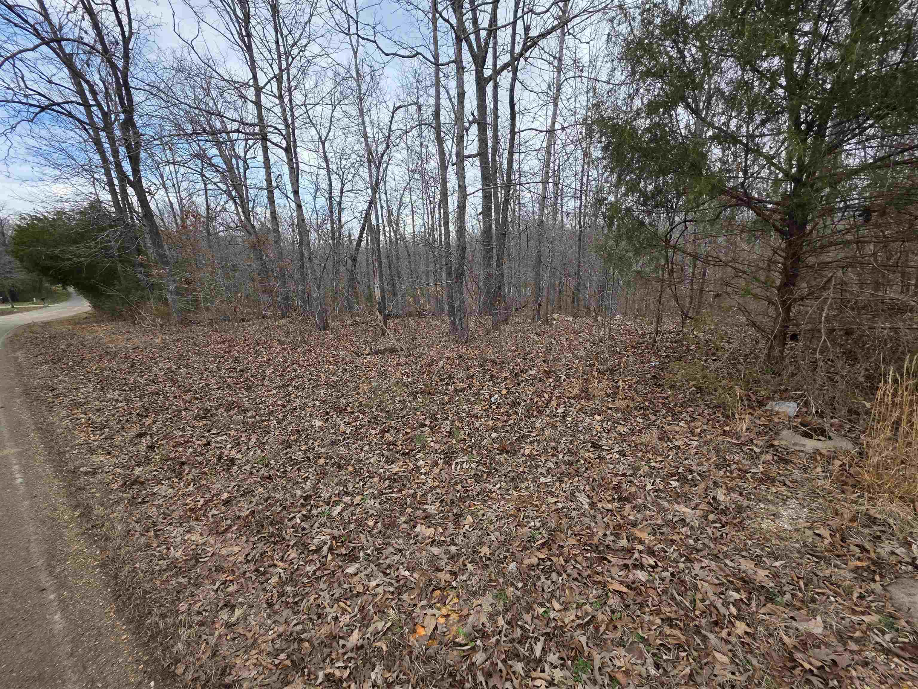 Photo 8 - Vacant Land for sale – L18 B3  S Summit Ridge   Ozark Acres, AR