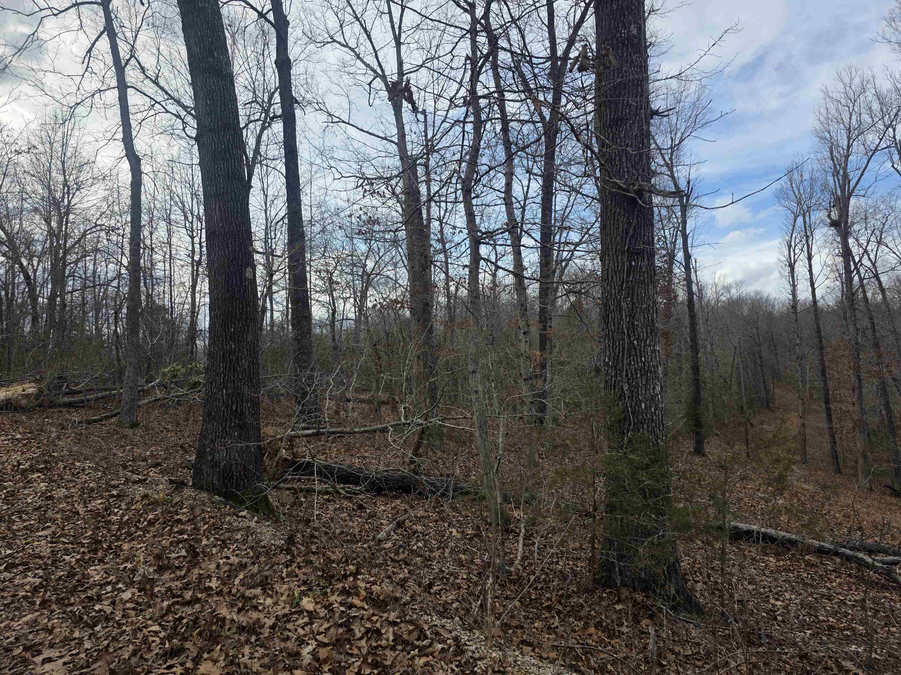 Photo 6 - Vacant Land for sale – L4 B2  Bald Eagle   Ozark Acres, AR