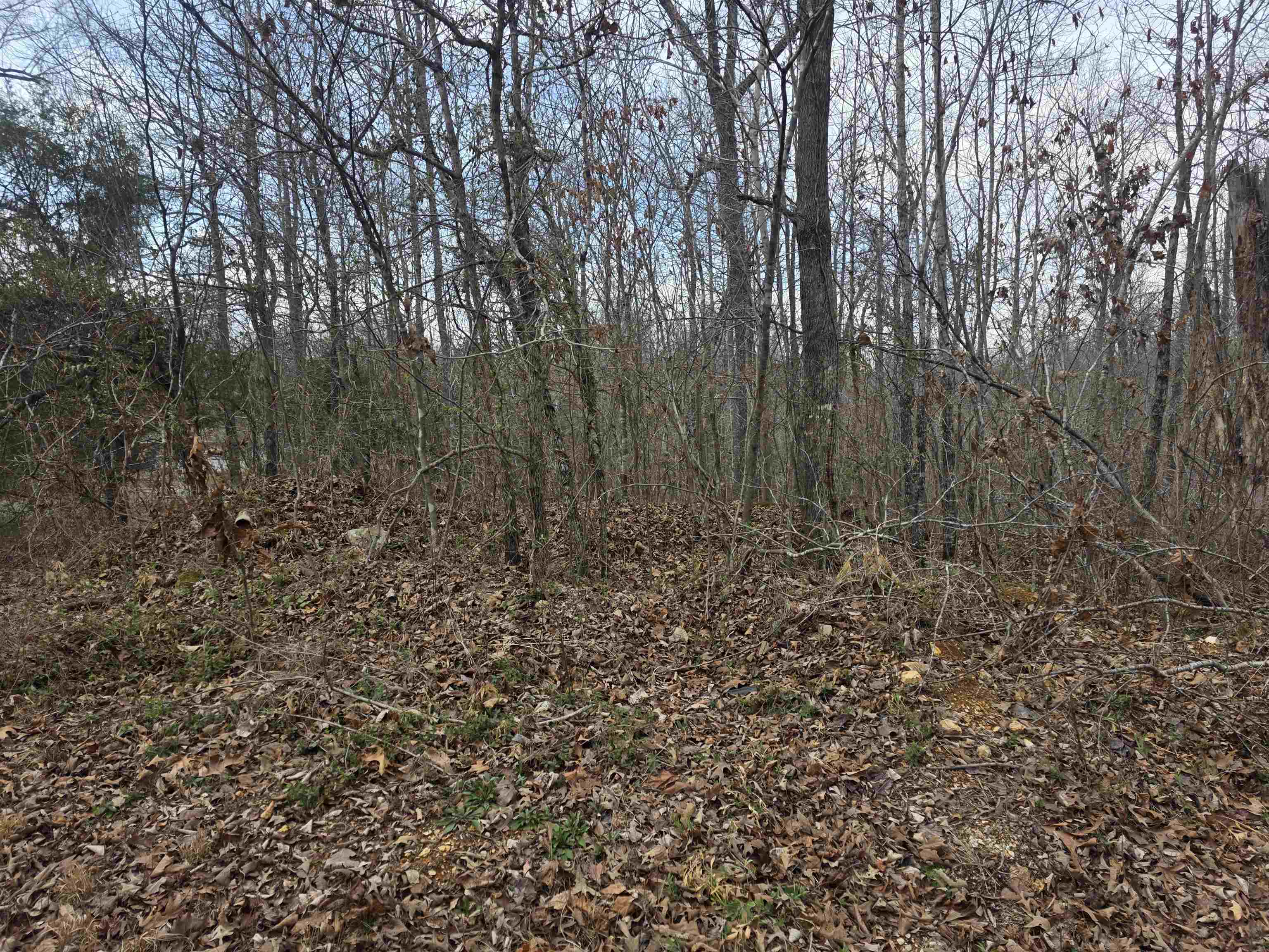 Photo 7 - Vacant Land for sale – L4 B2  Bald Eagle   Ozark Acres, AR