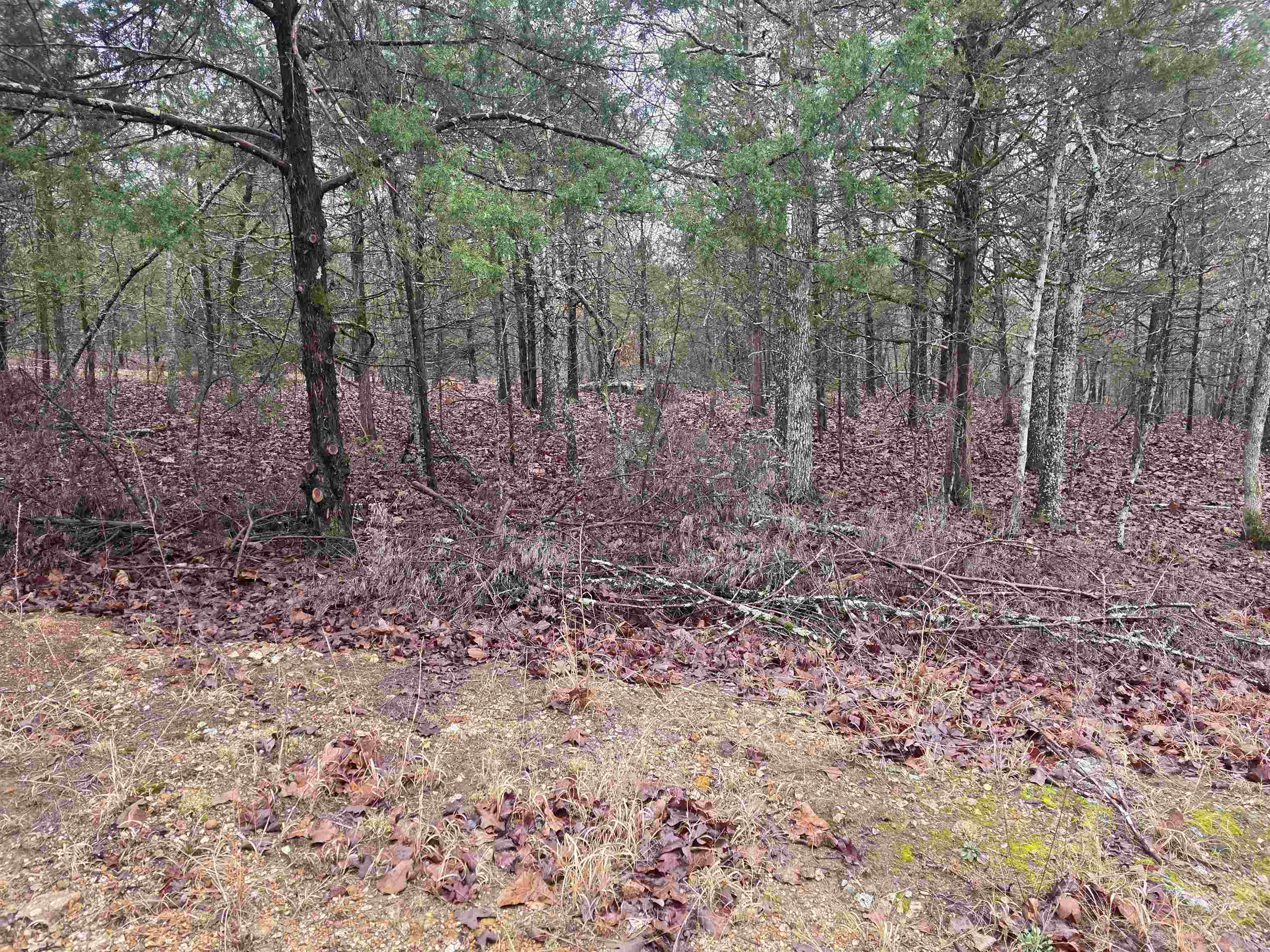 Vacant Land for sale – L-86,87 B-2  Gettysburg   Cherokee Village, AR