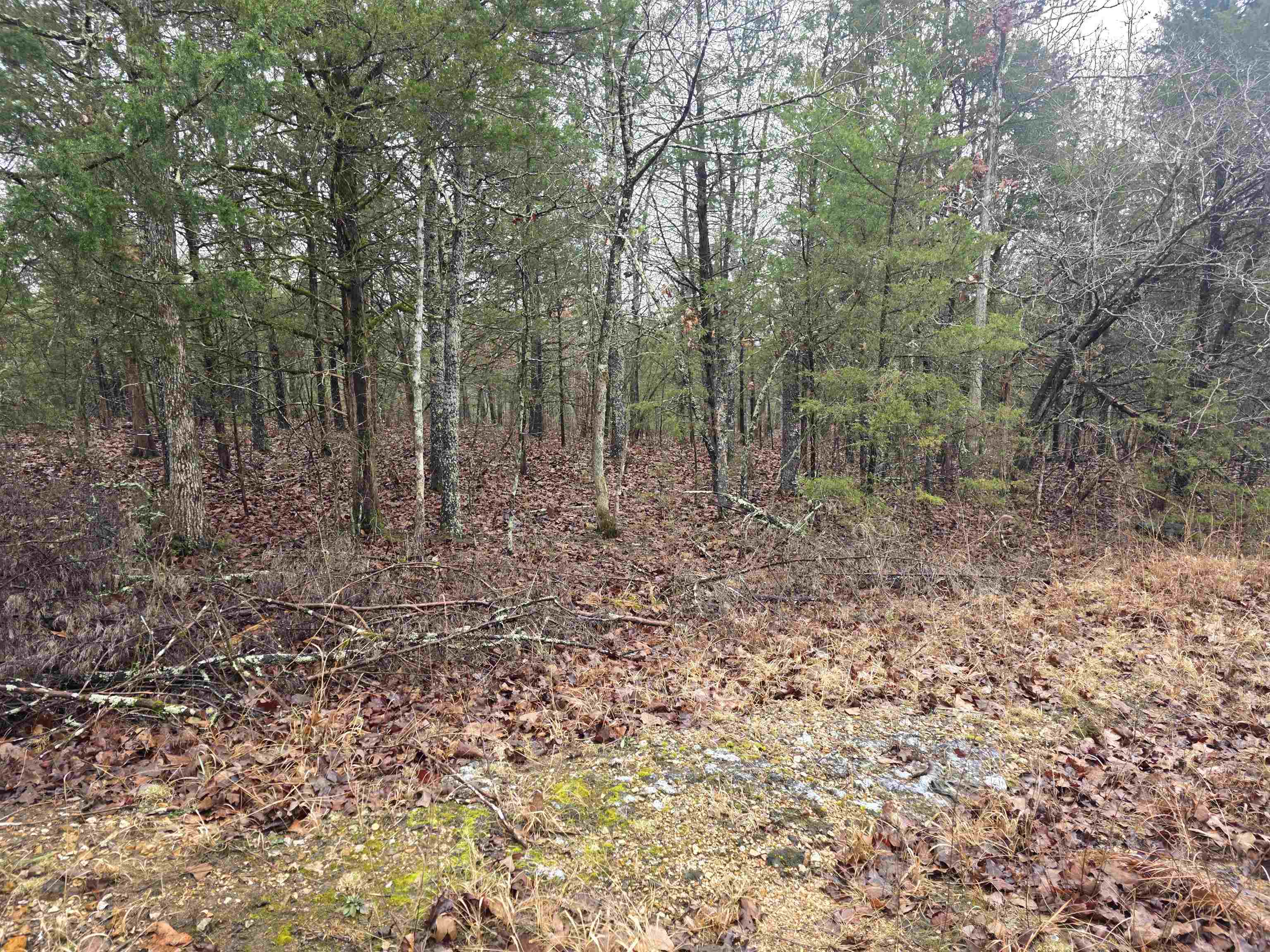 Photo 2 - Vacant Land for sale – L-86,87 B-2  Gettysburg   Cherokee Village, AR