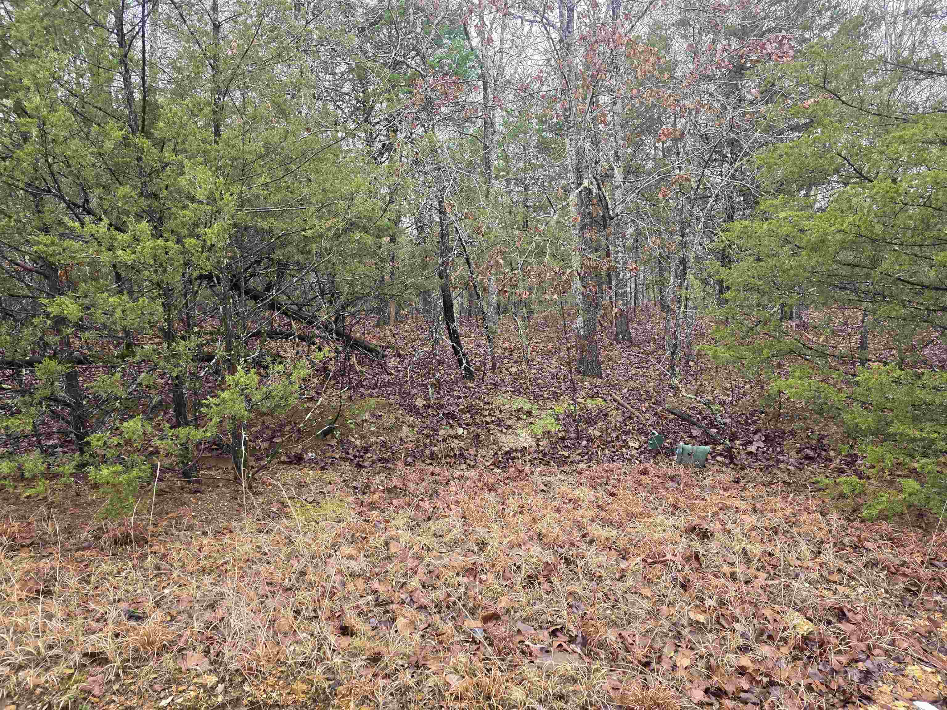 Photo 11 - Vacant Land for sale – L-86,87 B-2  Gettysburg   Cherokee Village, AR