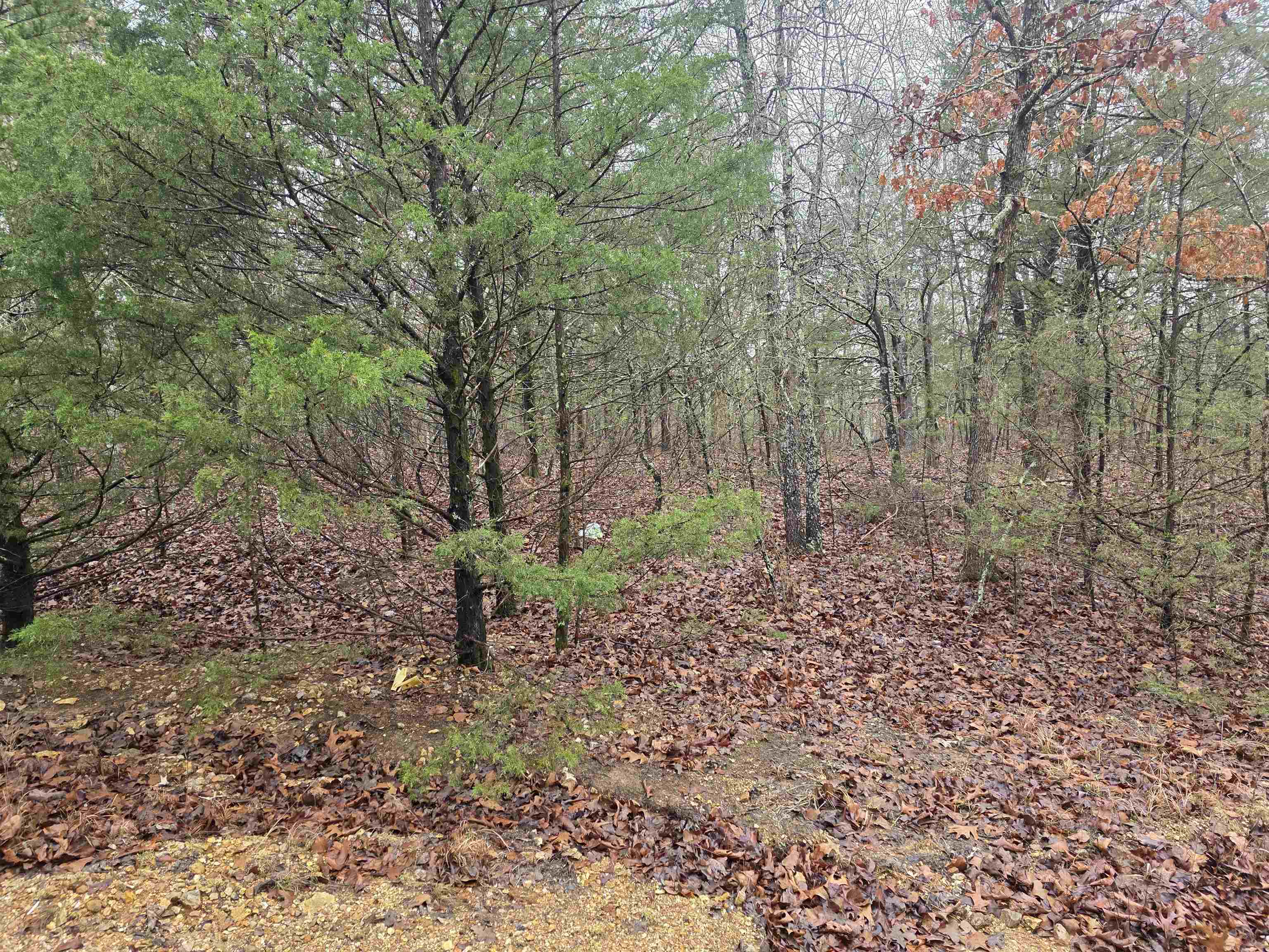 Photo 12 - Vacant Land for sale – L-86,87 B-2  Gettysburg   Cherokee Village, AR