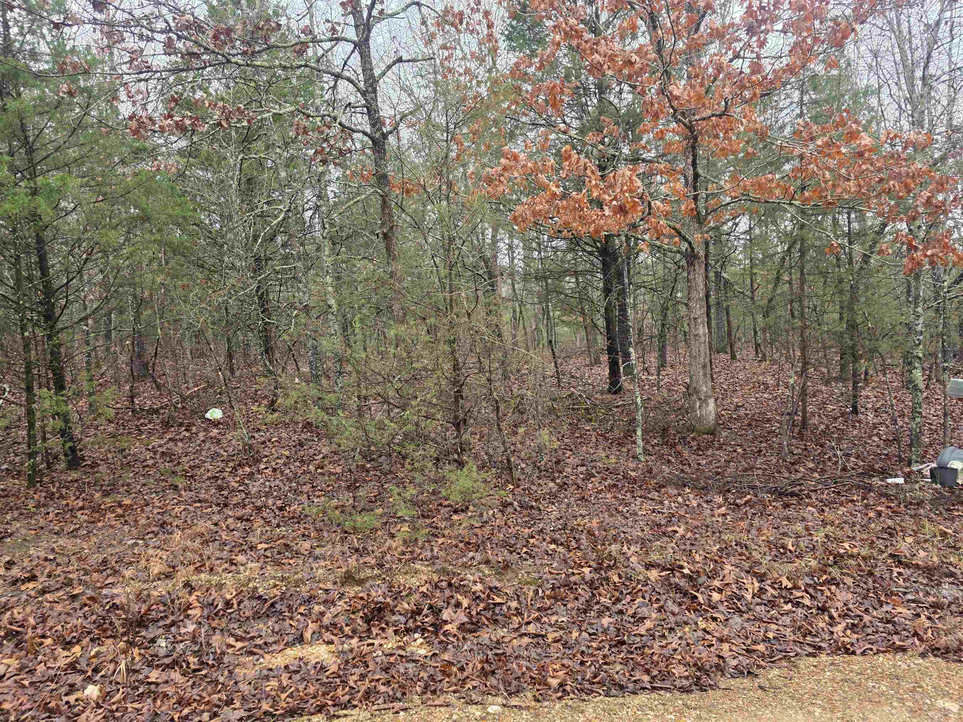 Photo 13 - Vacant Land for sale – L-86,87 B-2  Gettysburg   Cherokee Village, AR
