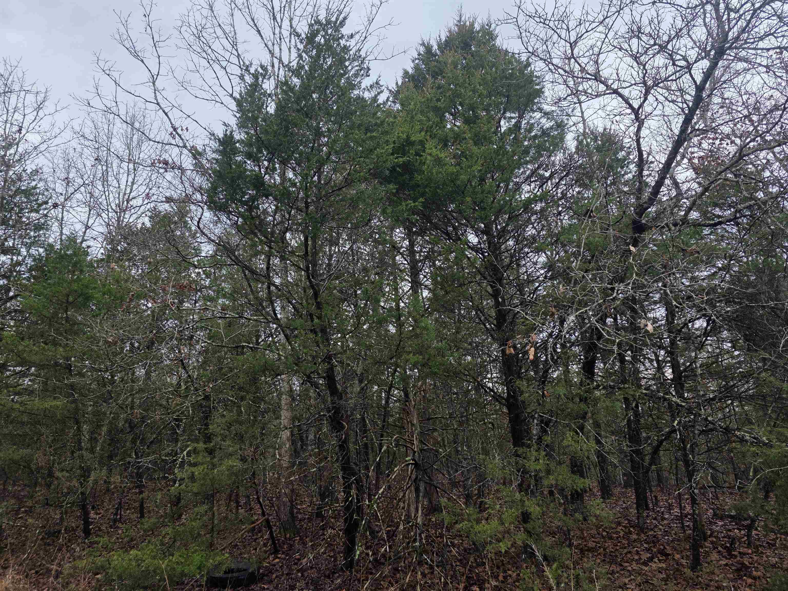 Photo 14 - Vacant Land for sale – L-86,87 B-2  Gettysburg   Cherokee Village, AR