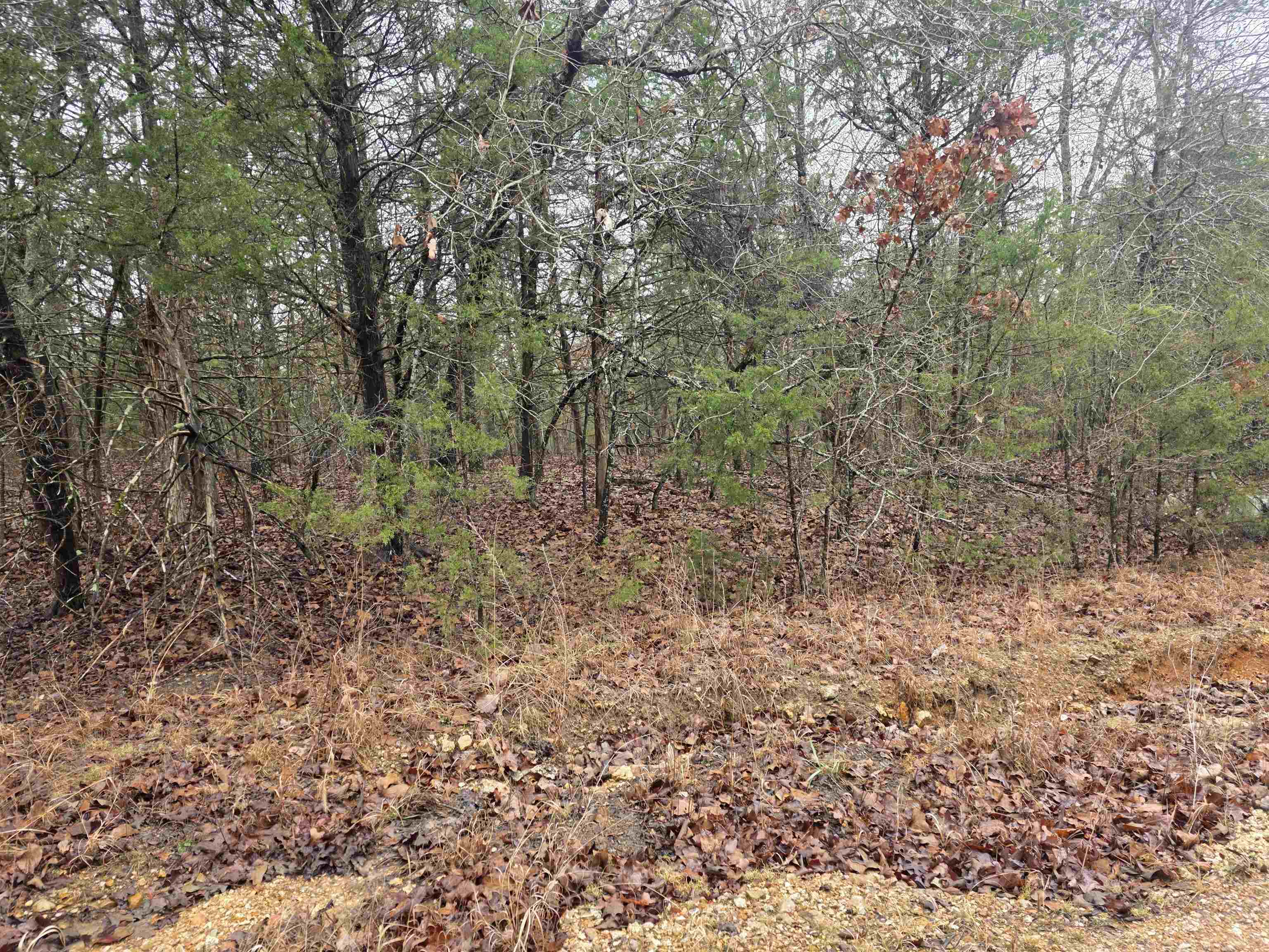 Photo 15 - Vacant Land for sale – L-86,87 B-2  Gettysburg   Cherokee Village, AR