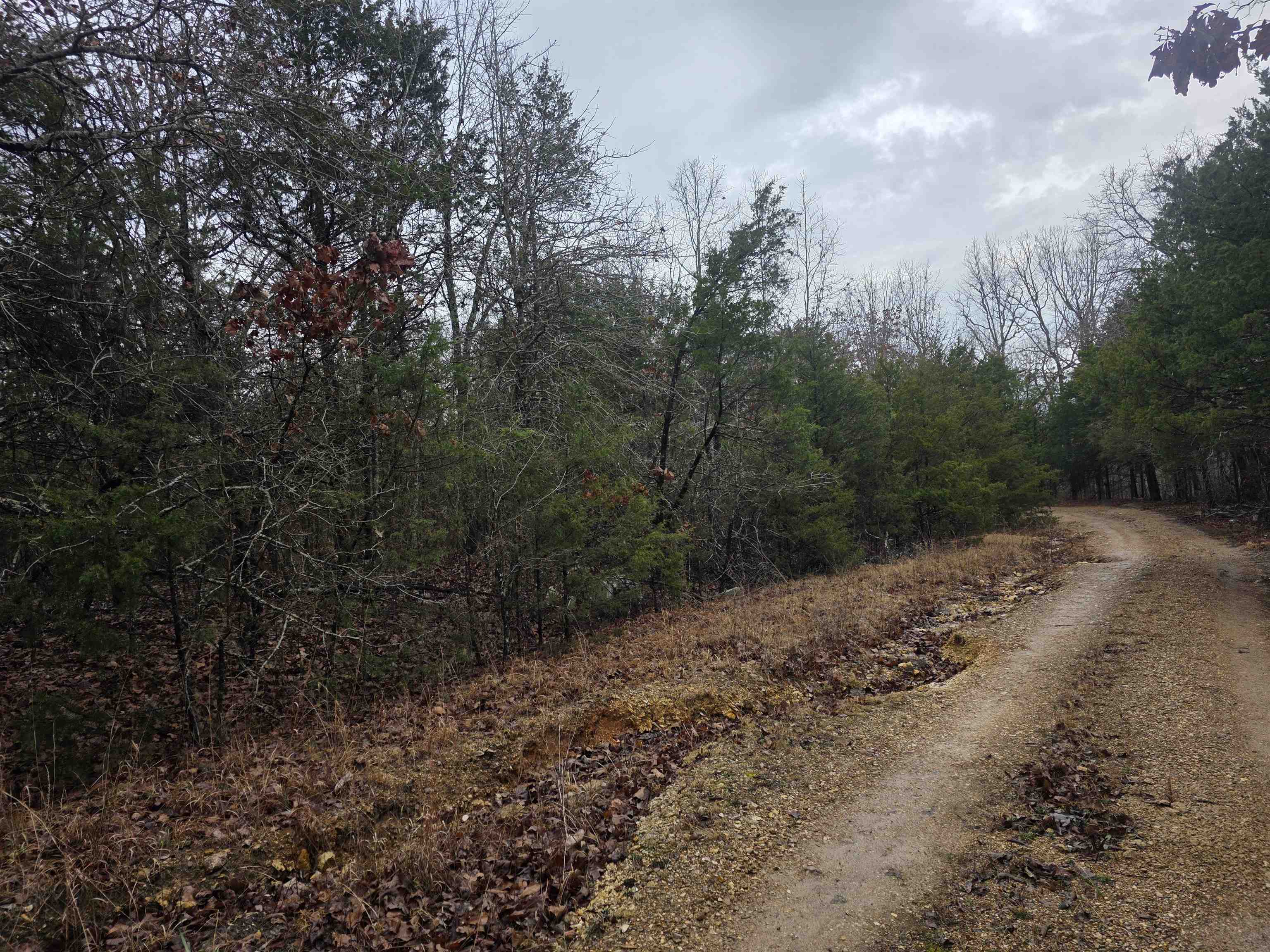 Photo 16 - Vacant Land for sale – L-86,87 B-2  Gettysburg   Cherokee Village, AR