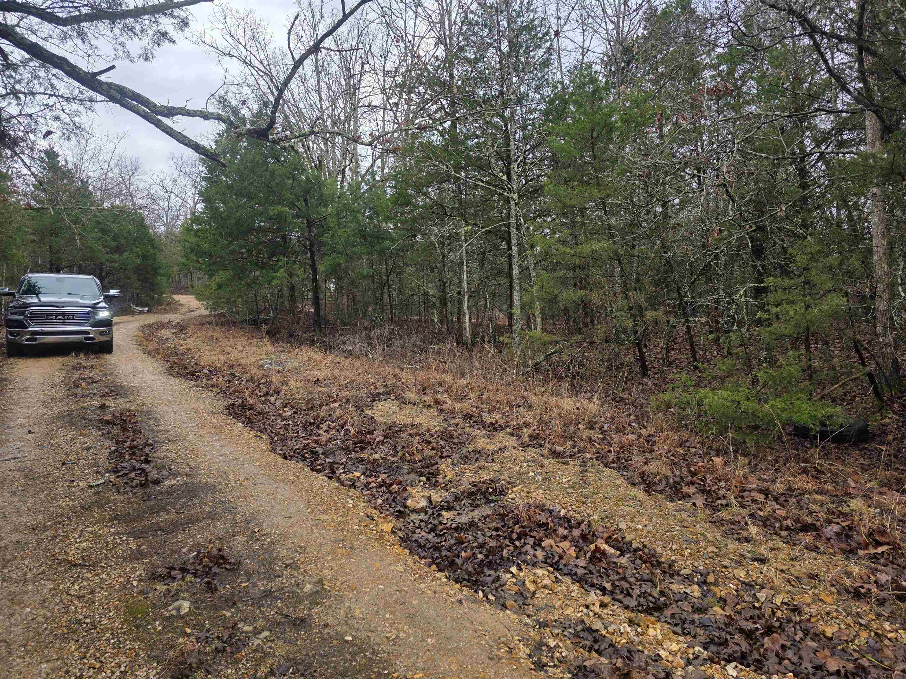 Photo 17 - Vacant Land for sale – L-86,87 B-2  Gettysburg   Cherokee Village, AR