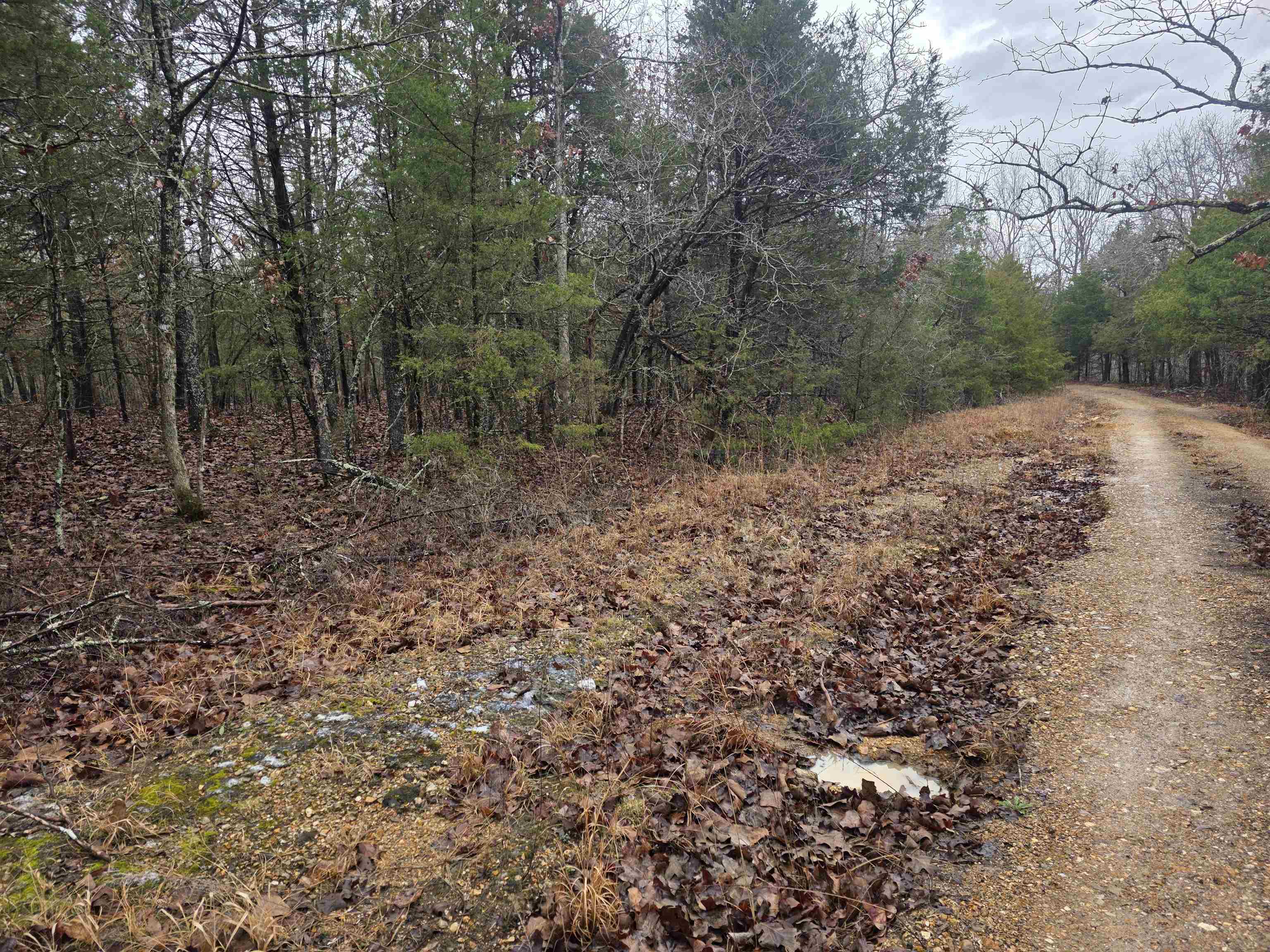 Photo 3 - Vacant Land for sale – L-86,87 B-2  Gettysburg   Cherokee Village, AR