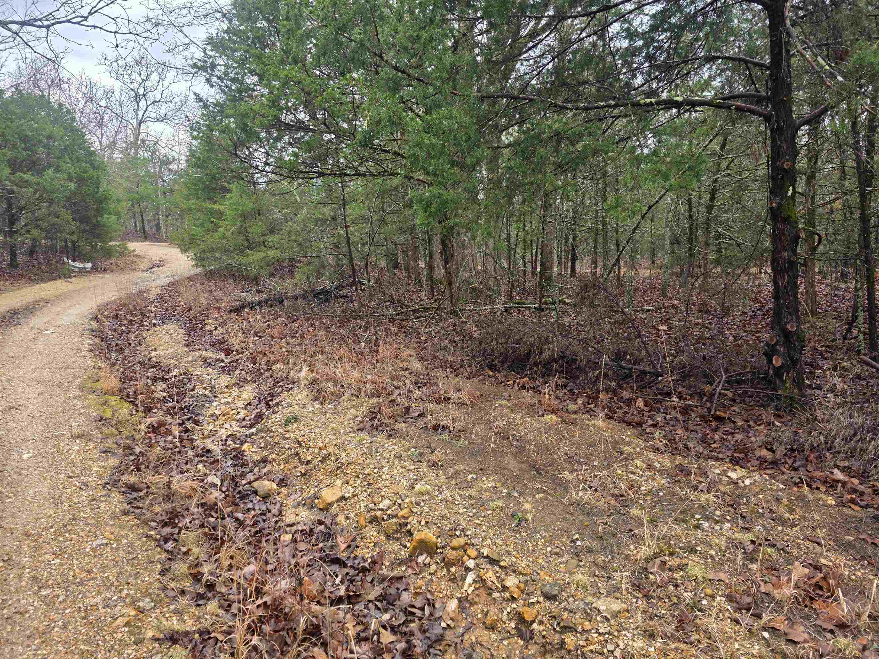 Photo 4 - Vacant Land for sale – L-86,87 B-2  Gettysburg   Cherokee Village, AR
