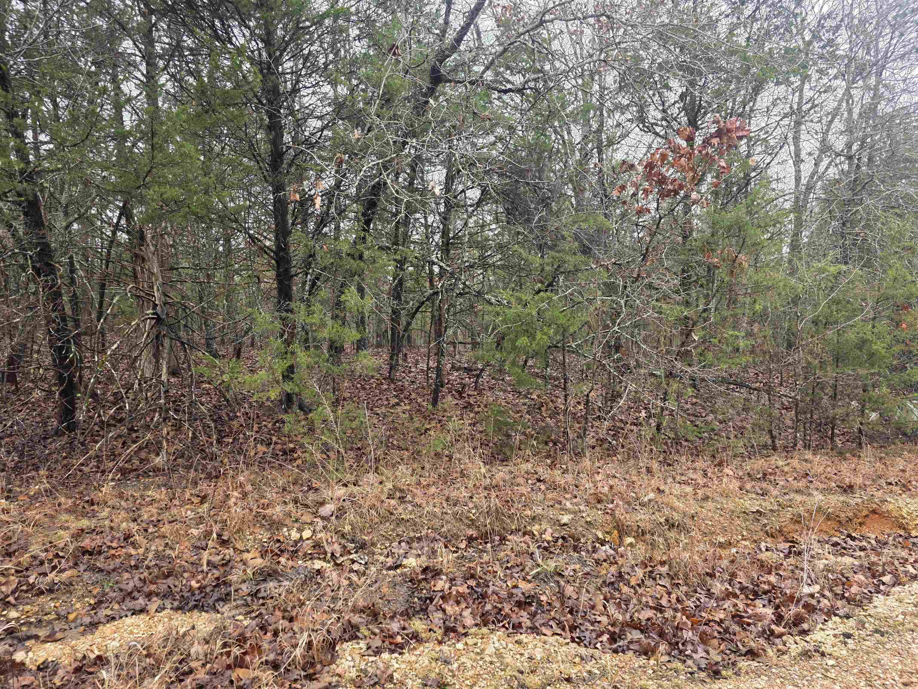 Photo 5 - Vacant Land for sale – L-86,87 B-2  Gettysburg   Cherokee Village, AR