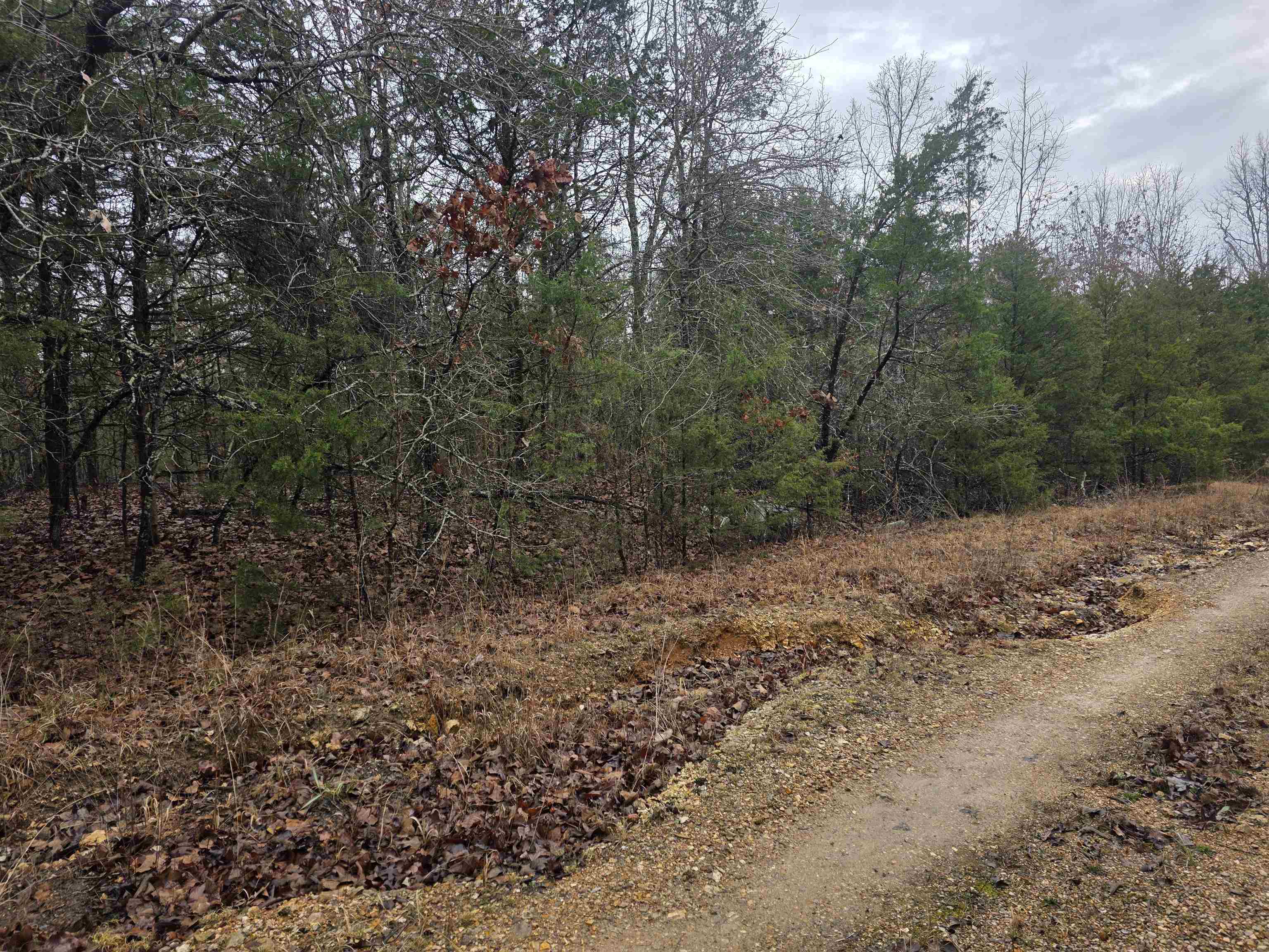 Photo 6 - Vacant Land for sale – L-86,87 B-2  Gettysburg   Cherokee Village, AR