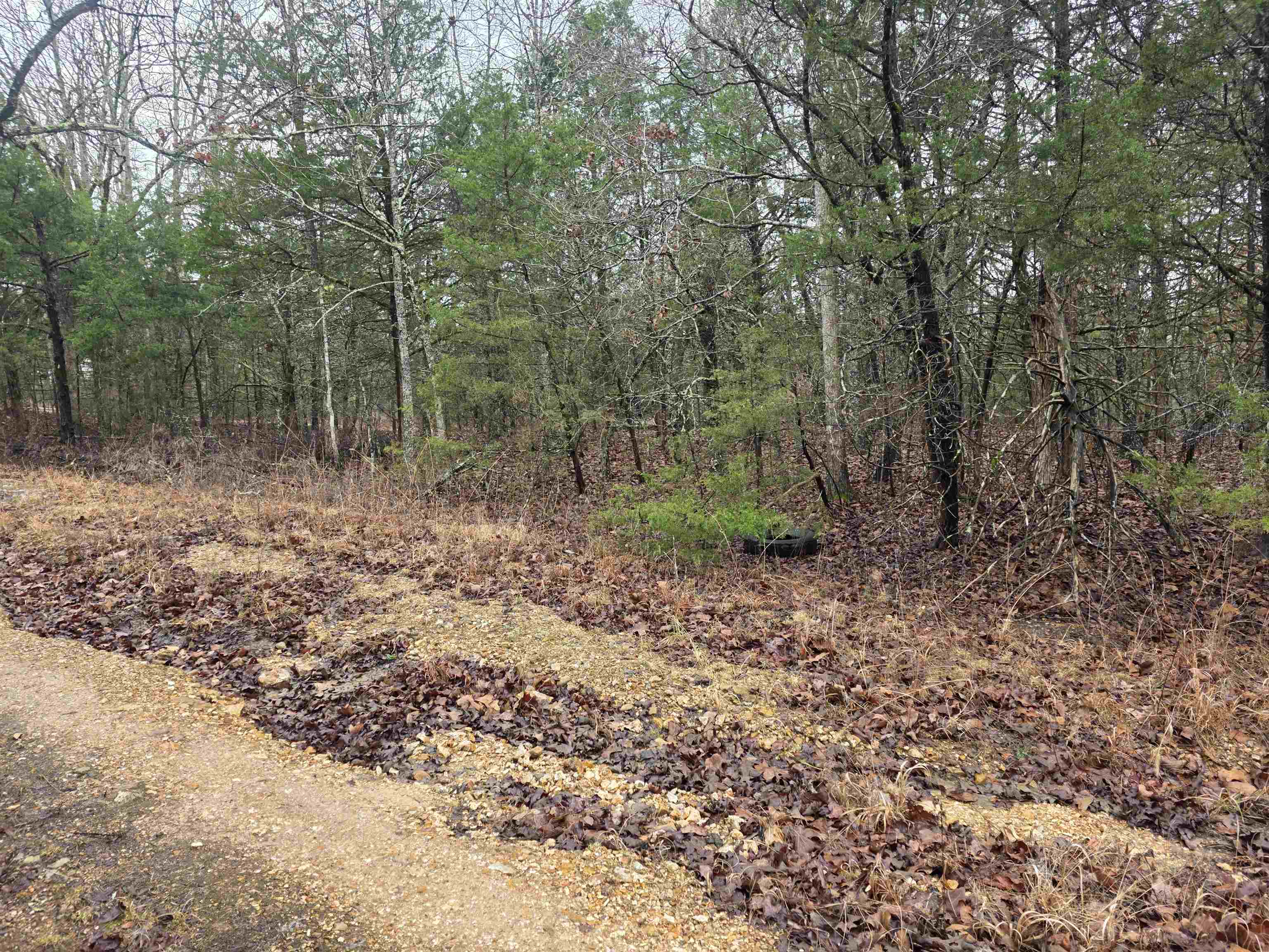 Photo 7 - Vacant Land for sale – L-86,87 B-2  Gettysburg   Cherokee Village, AR