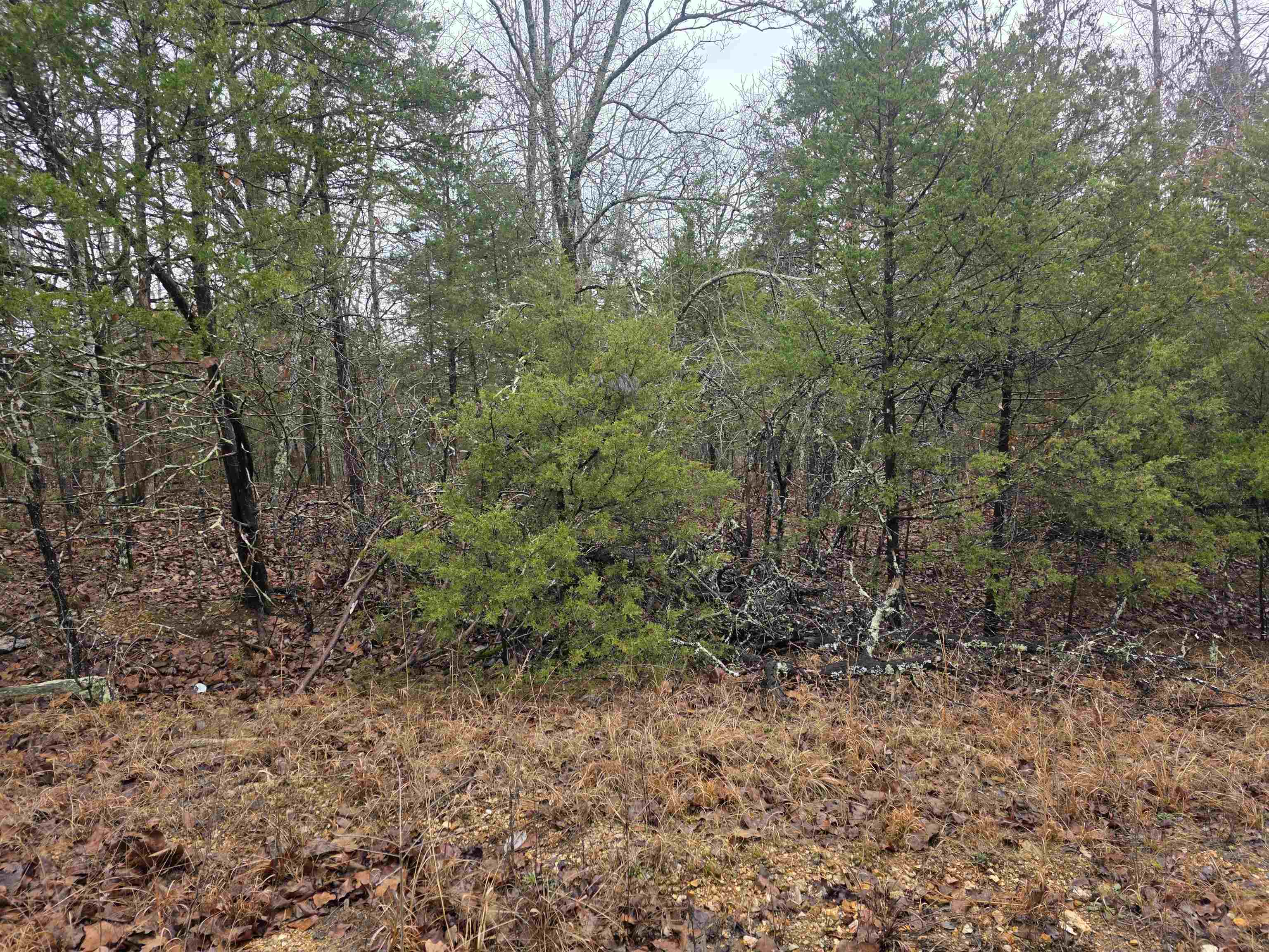 Photo 8 - Vacant Land for sale – L-86,87 B-2  Gettysburg   Cherokee Village, AR