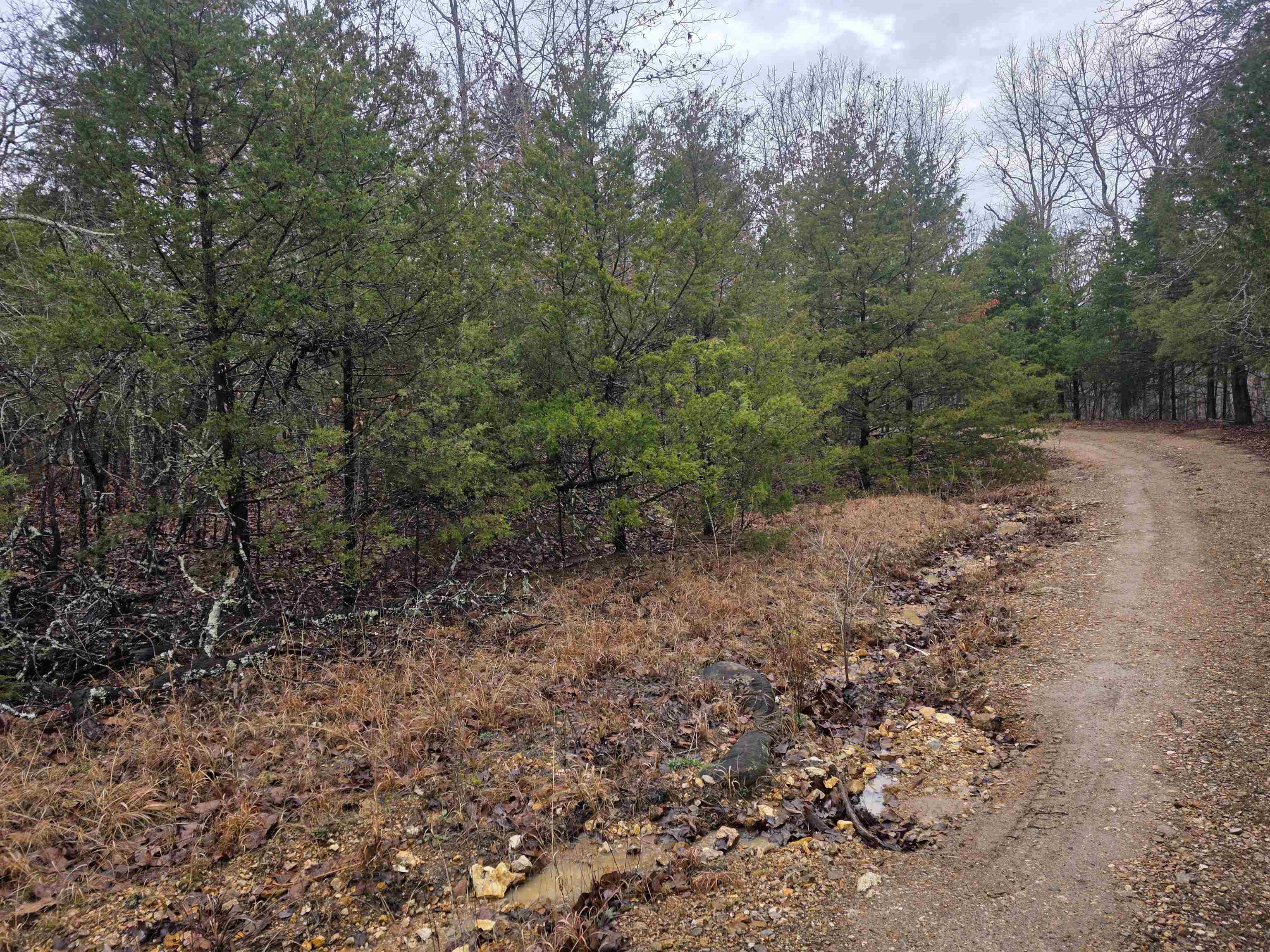 Photo 9 - Vacant Land for sale – L-86,87 B-2  Gettysburg   Cherokee Village, AR