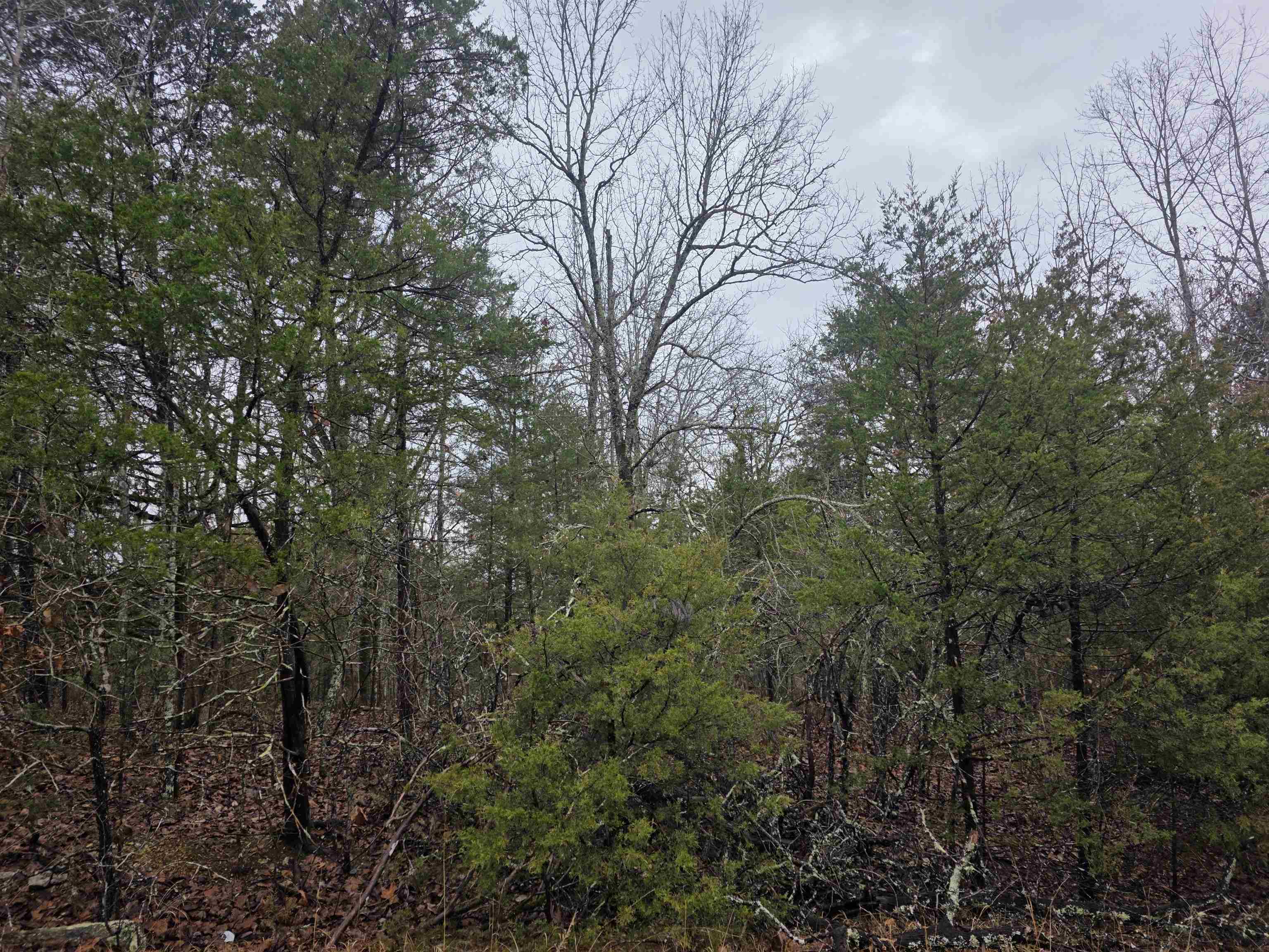 Photo 10 - Vacant Land for sale – L-86,87 B-2  Gettysburg   Cherokee Village, AR