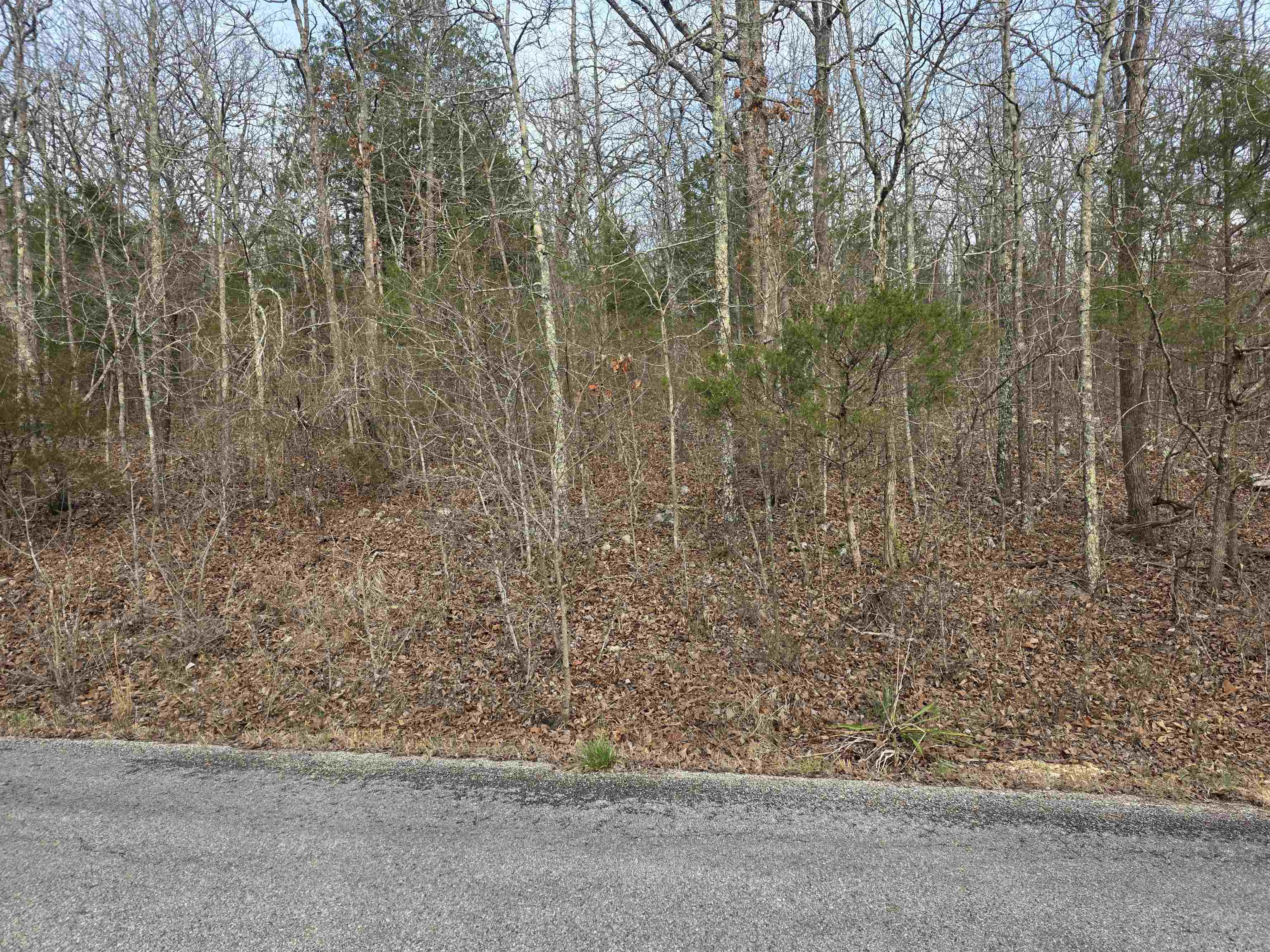 Photo 13 - Vacant Land for sale – 7 Lots  Cherokee Village   Cherokee Village, AR