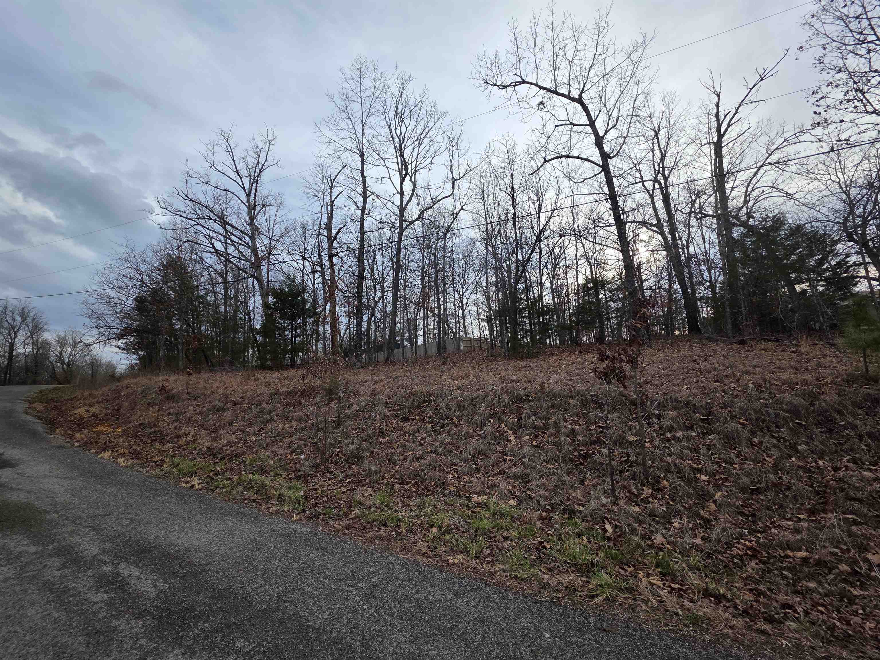 Photo 18 - Vacant Land for sale – 7 Lots  Cherokee Village   Cherokee Village, AR