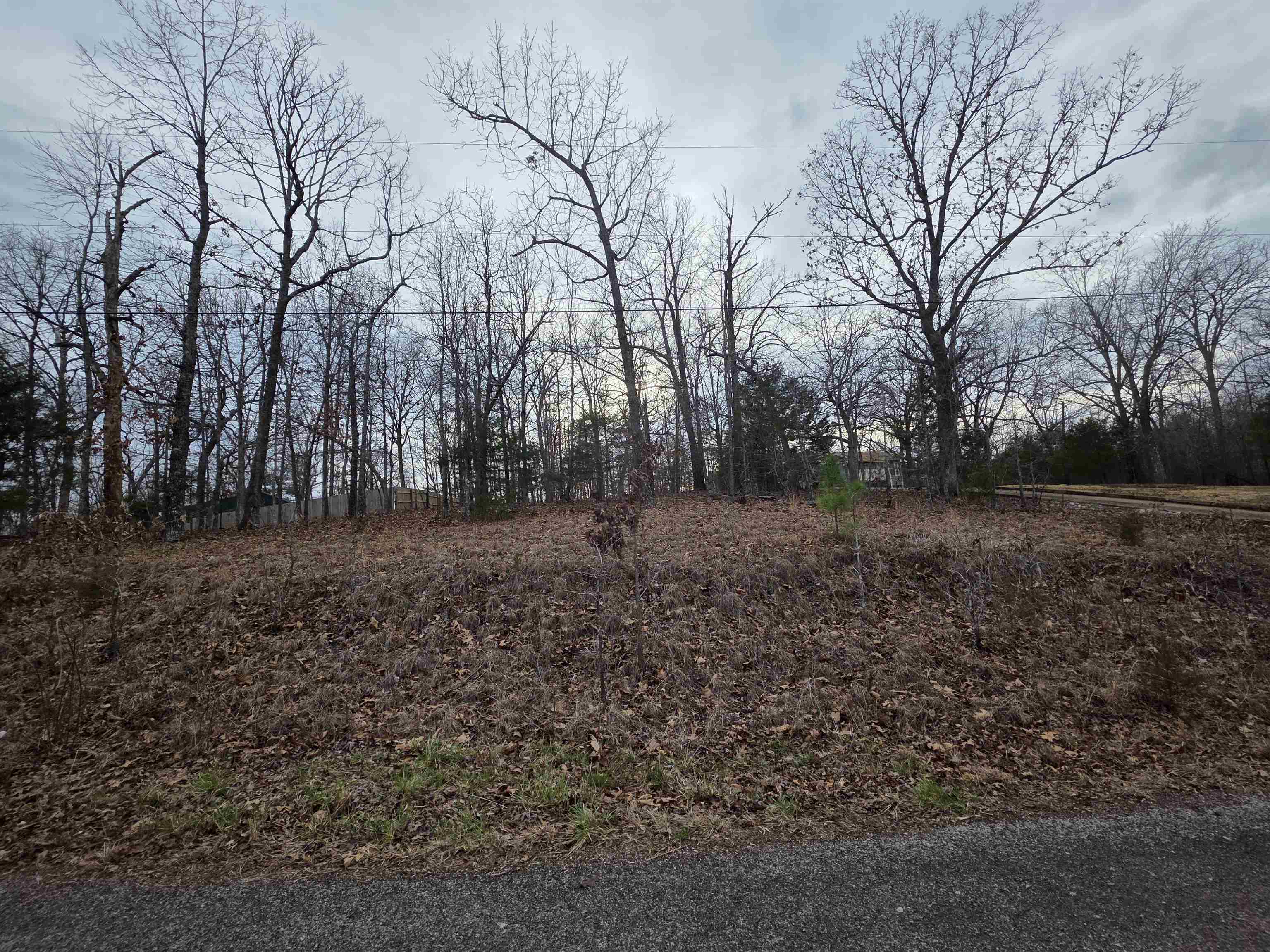 Photo 19 - Vacant Land for sale – 7 Lots  Cherokee Village   Cherokee Village, AR
