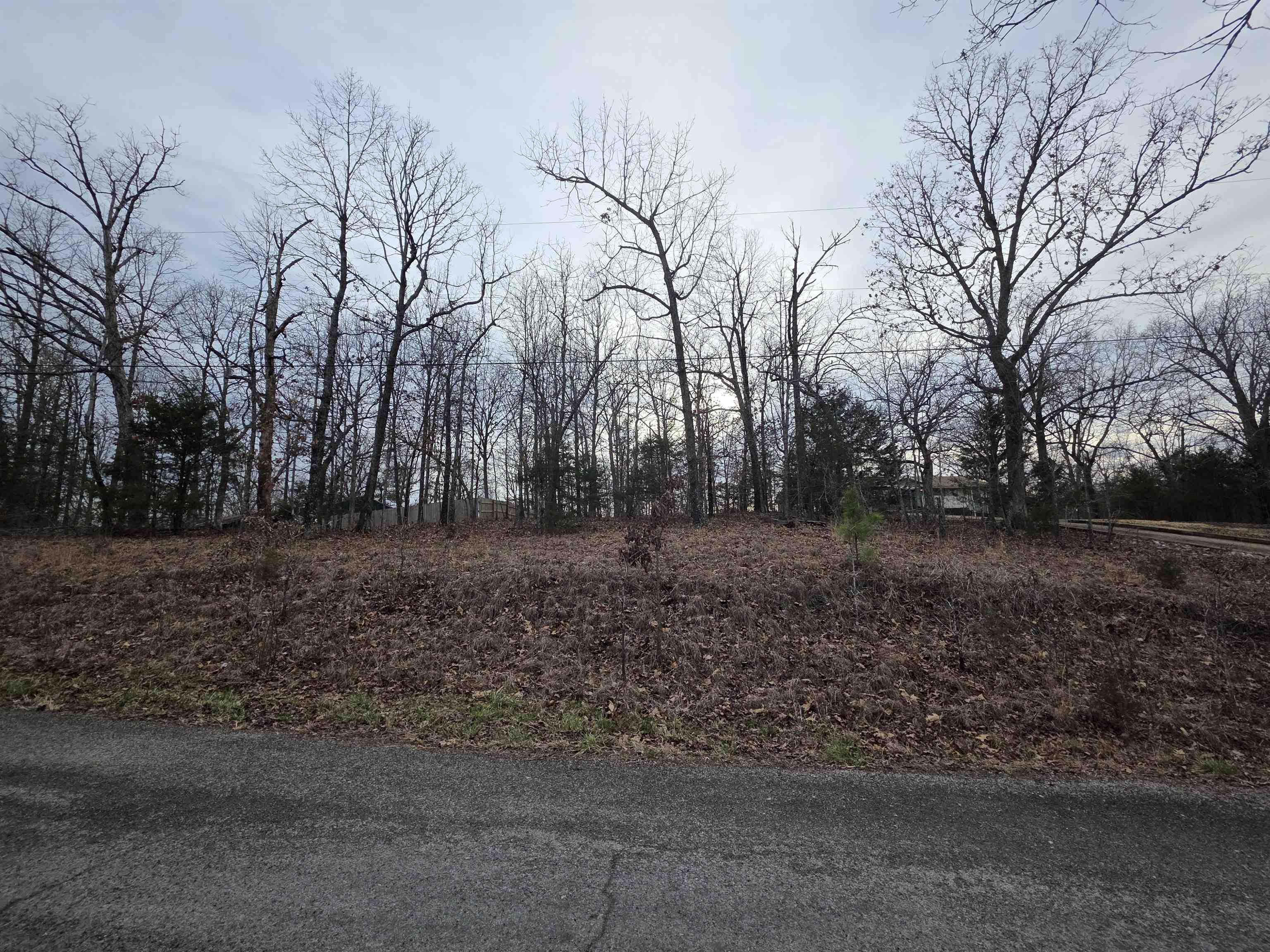 Photo 20 - Vacant Land for sale – 7 Lots  Cherokee Village   Cherokee Village, AR